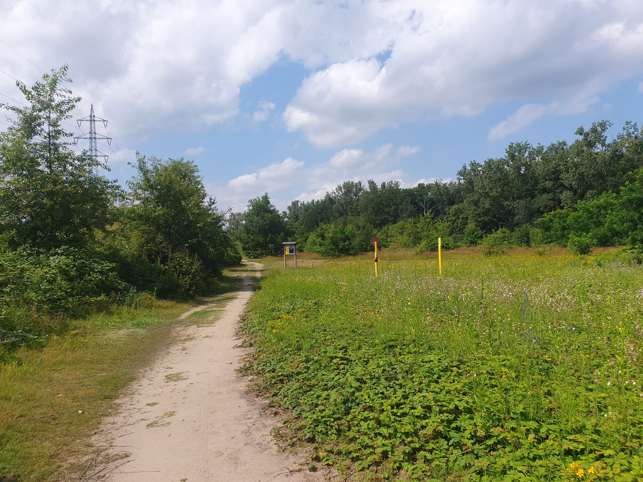 Weg zum Hafen wird zum Trail
