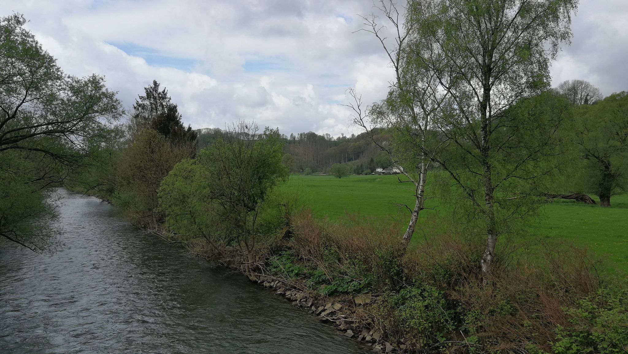 Aggerauen