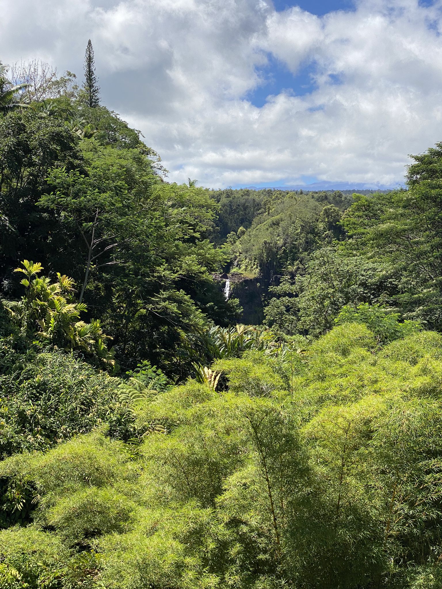 Bright view of a distant waterfall amidst a vibrant green tropical forest. - ʻAkaka Falls via Honomū