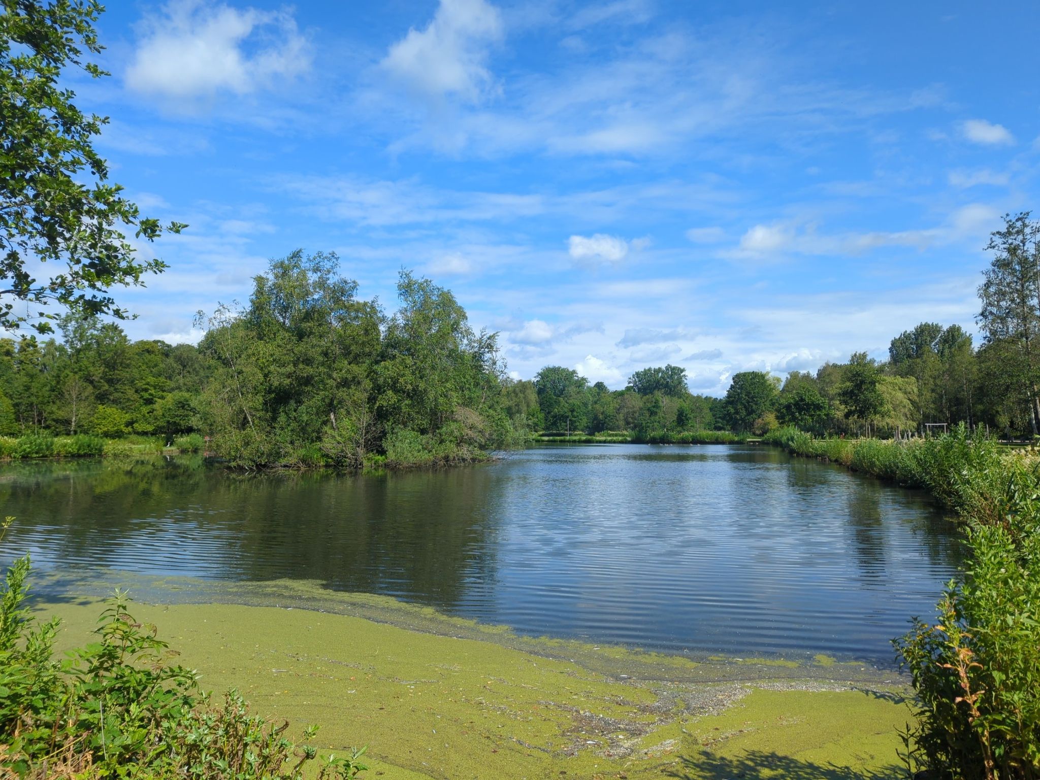 Bygholm Park