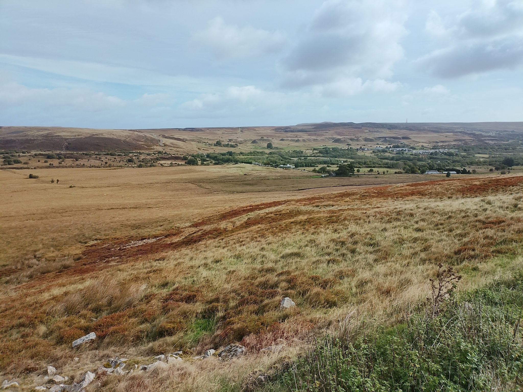 On the path to the abandoned coalmine