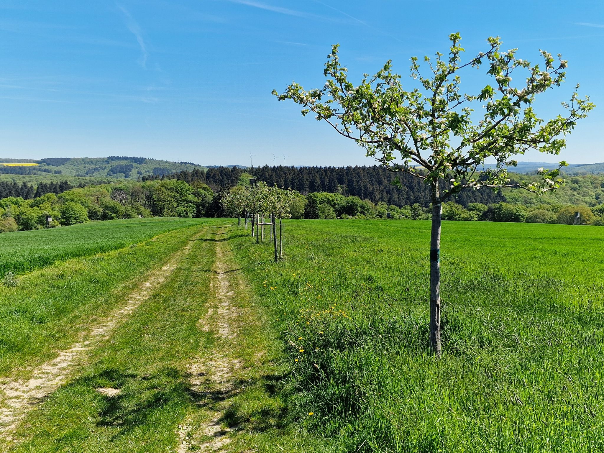 Schöne Aussicht auf schönen Wegen