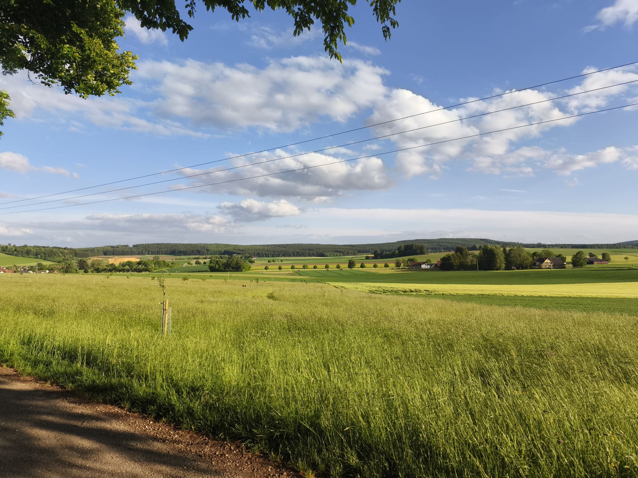 Bänkle mit Aussicht