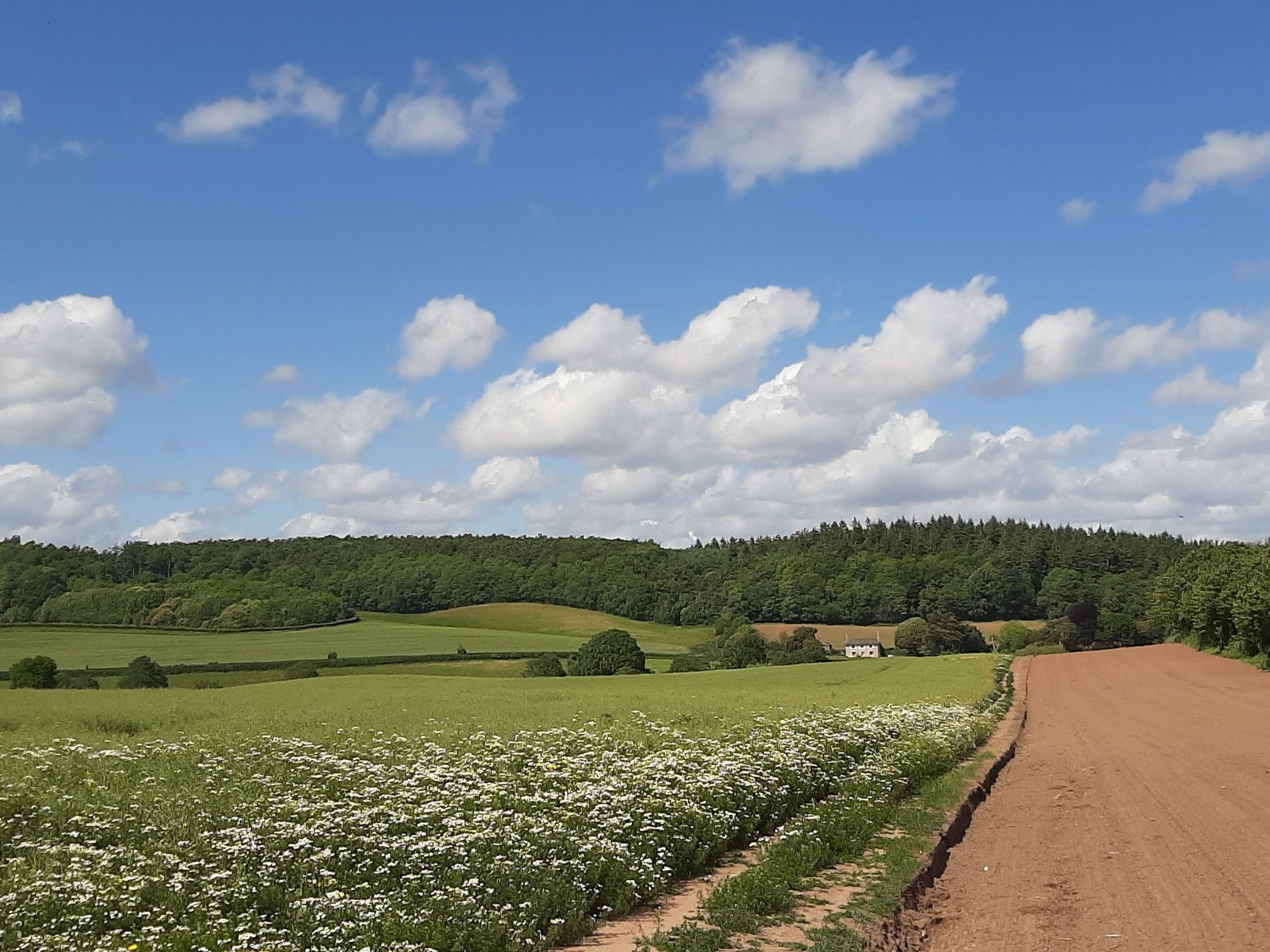 Towards Kenn