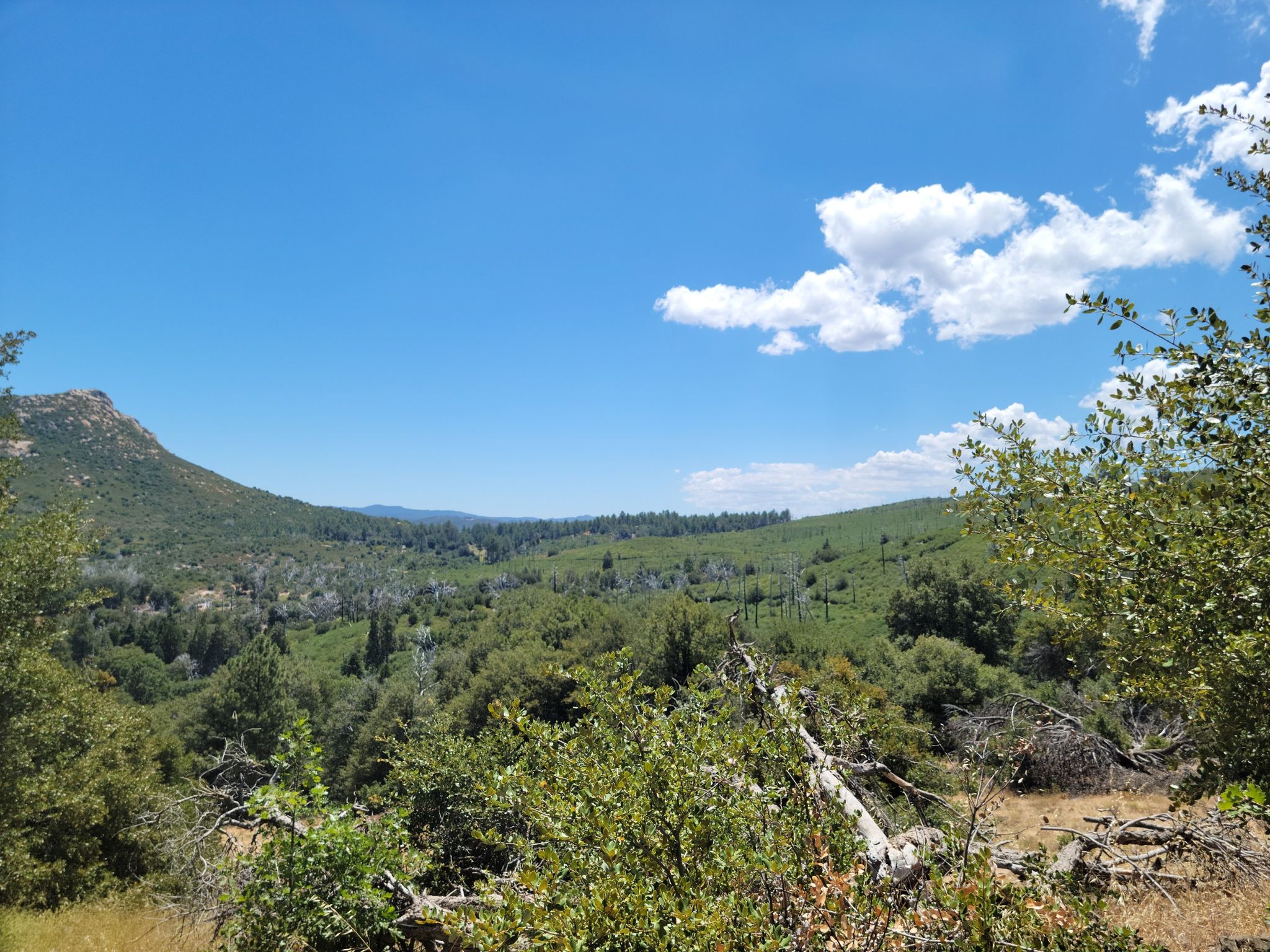 Sunny mountain landscape with dense green forests under a bright blue sky. - Middle Peak Loop Trail