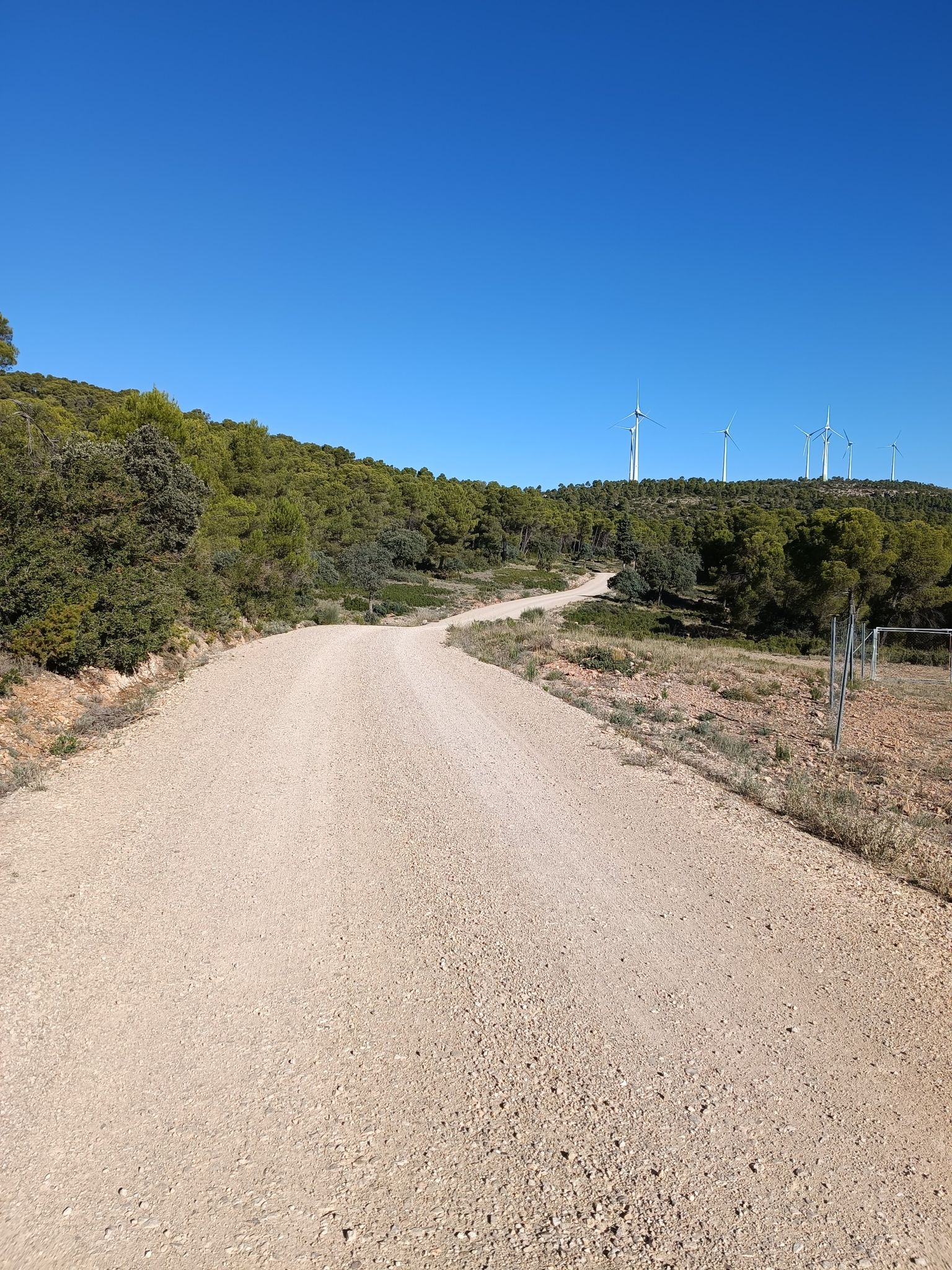 camino del Castillico