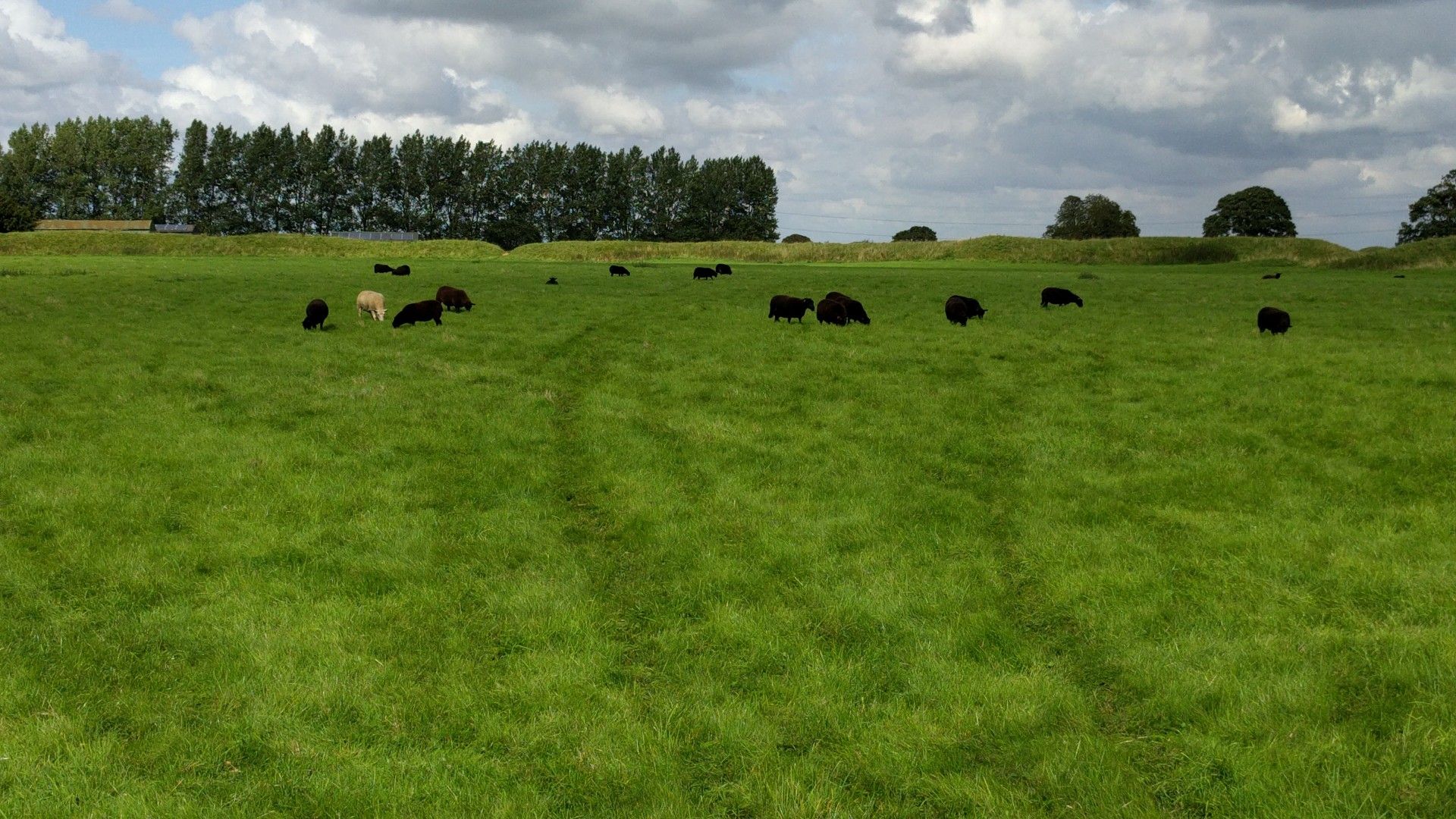 Soppia's Hill Fort