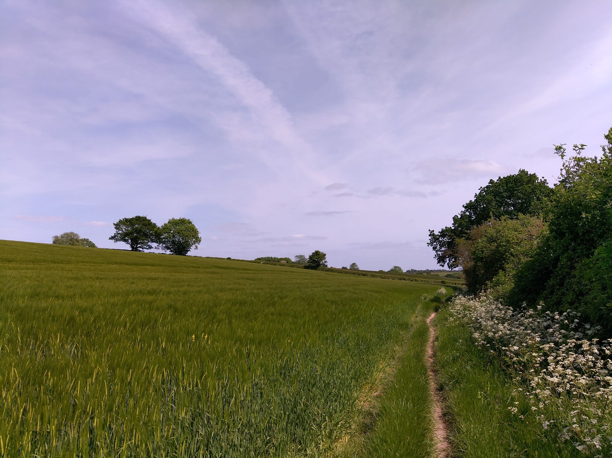 More on the lovely farm