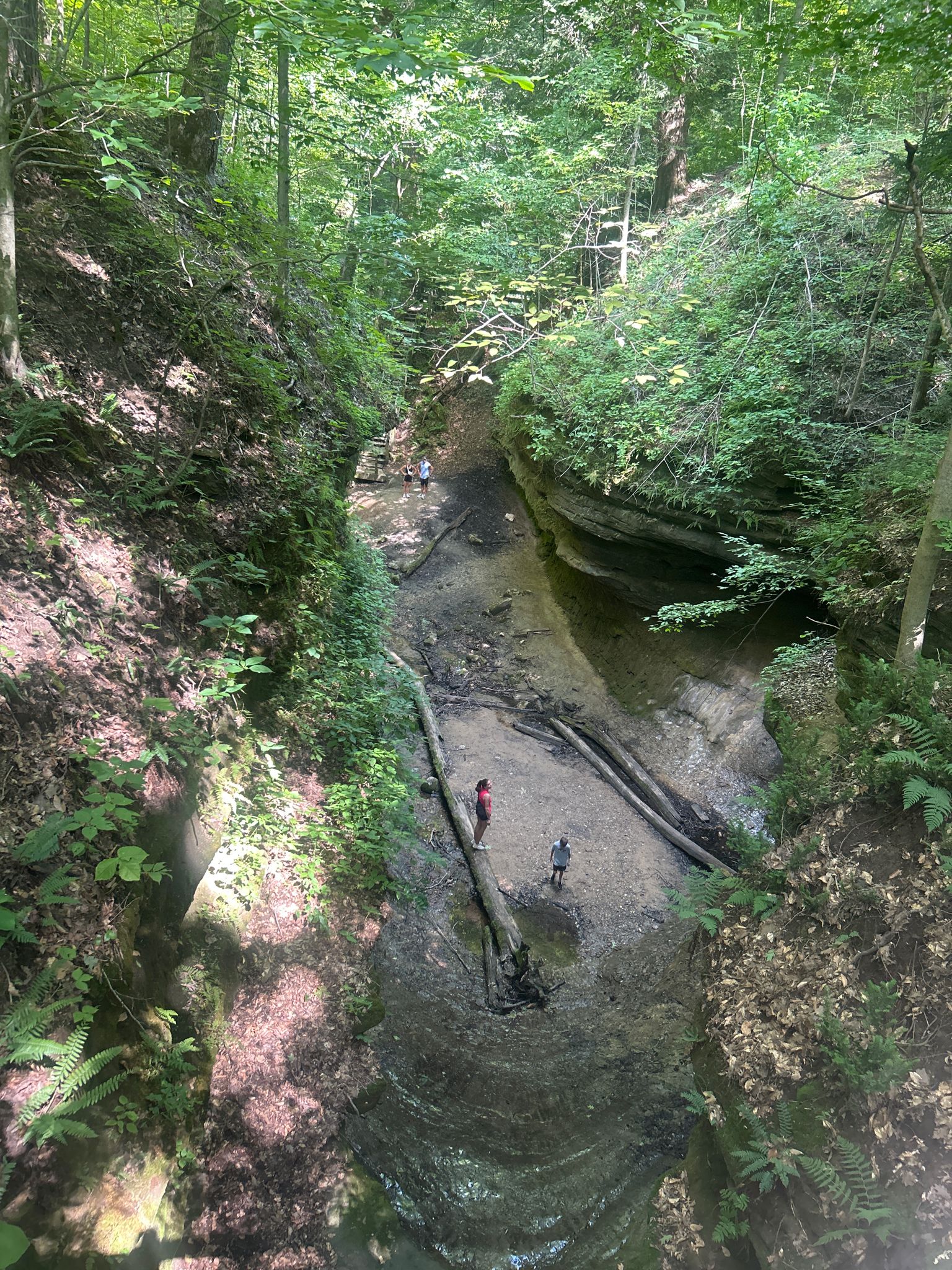 People walk through a sunlit, narrow gorge with steep, forested banks. - Trail 1