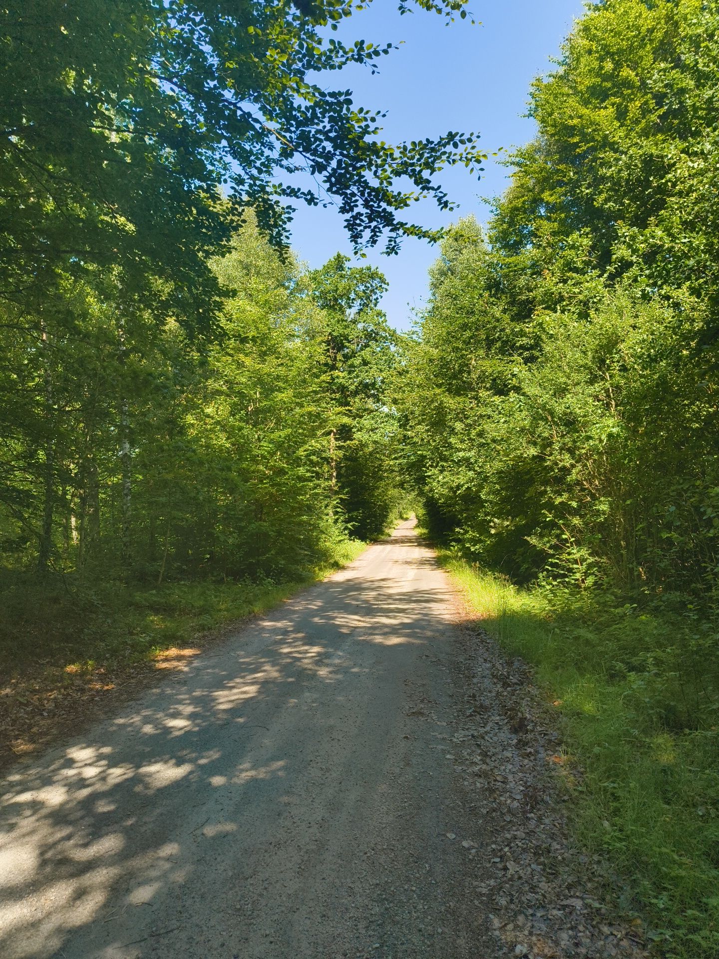 super Fahrradstraße