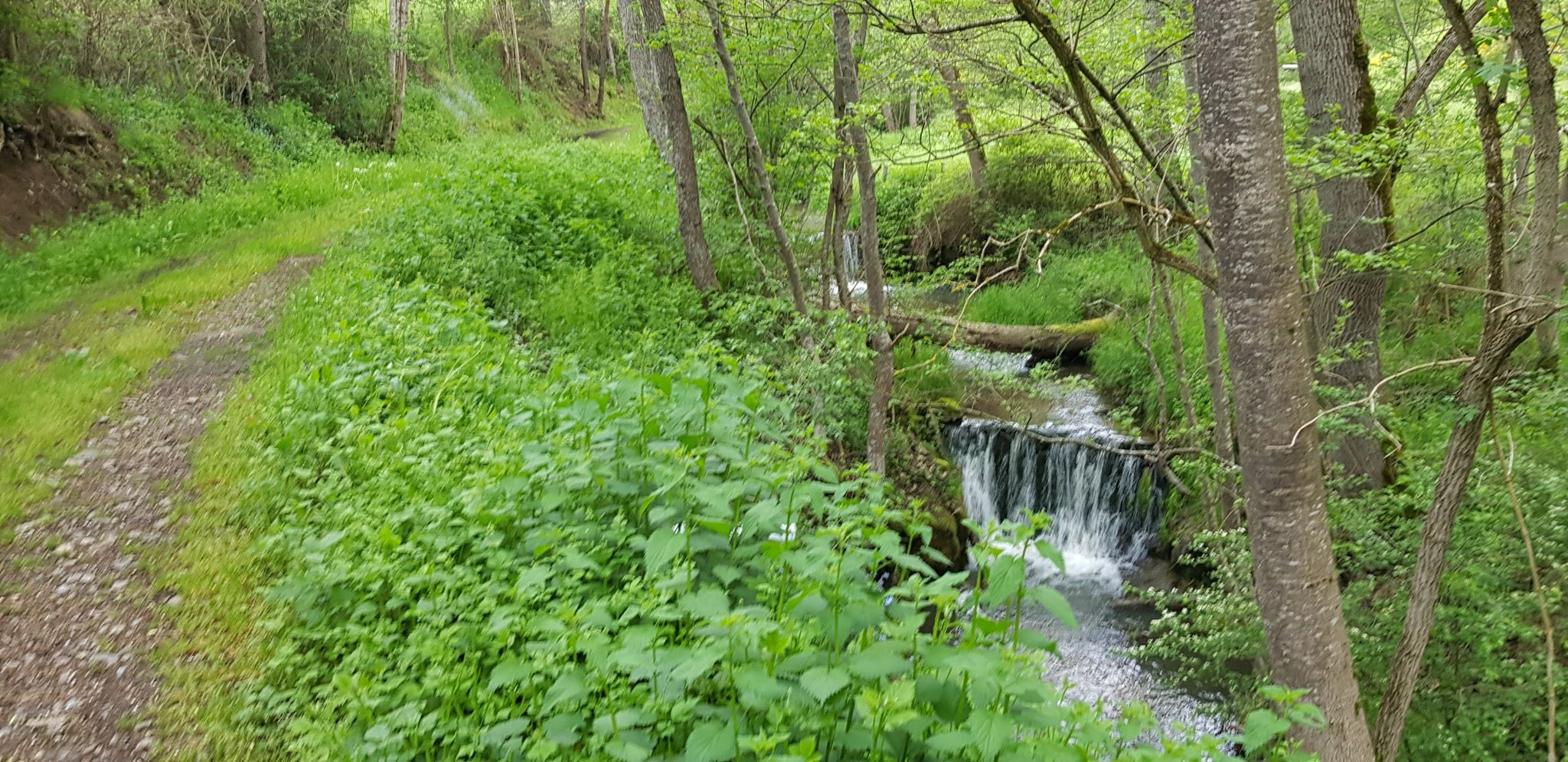 le Tizou petit ruisseau