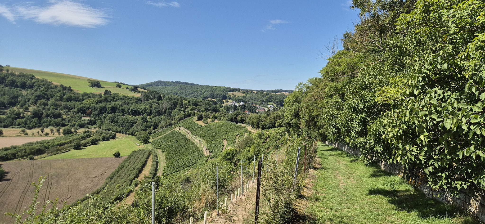 Abstieg nach Staudernheim außerhalb der Klostermauer