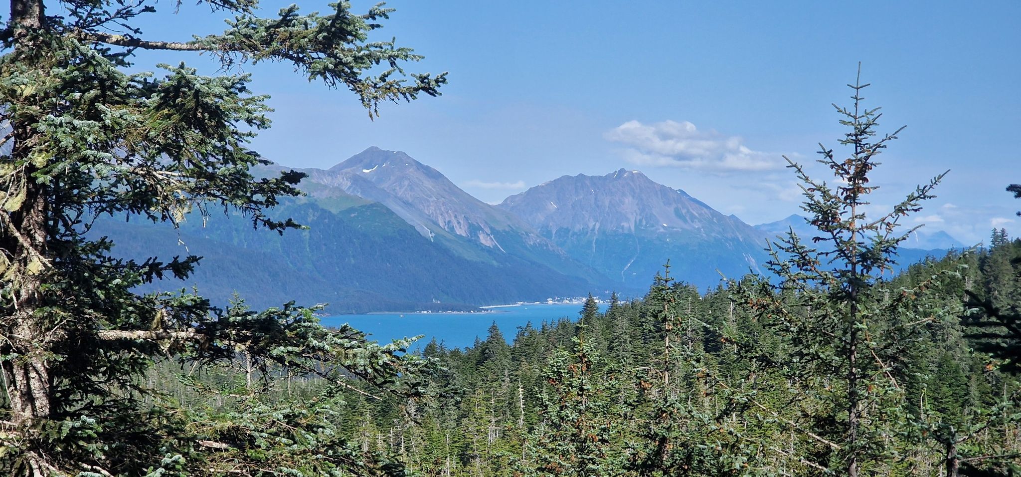 Sunny view of distant mountains, a blue bay, and green forest. - Caines Head Loop Trail