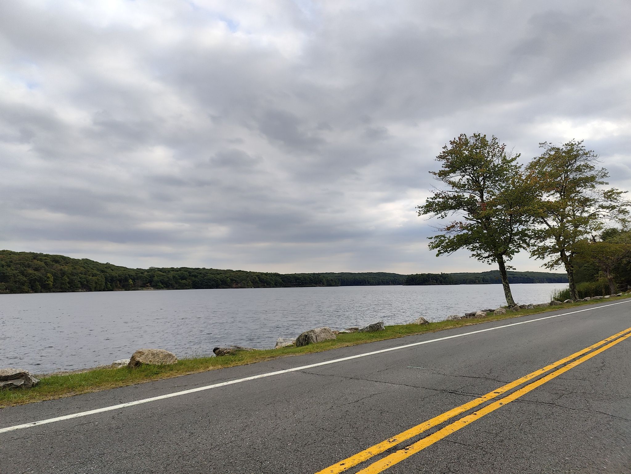 Overcast sky above a road running alongside a lake with forested shores. - Lake Tiorati loop from Fingerboard Mountain