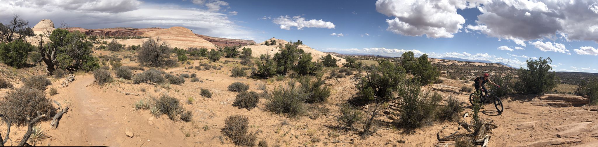 Person mountain biking through desert scrub and rocks under a partly cloudy sky. - Chisholm and Coney Island Trail Loop