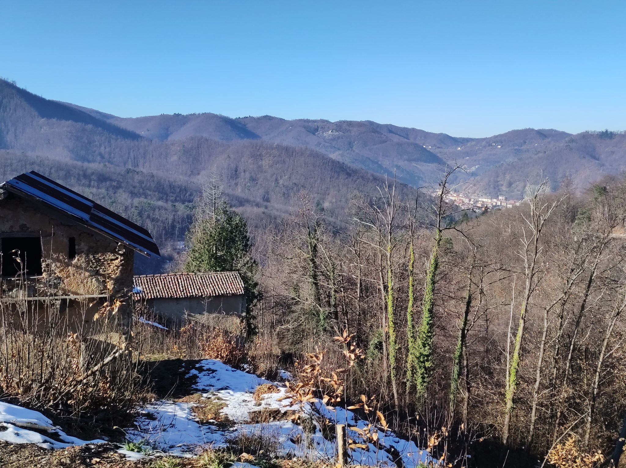 Panorama