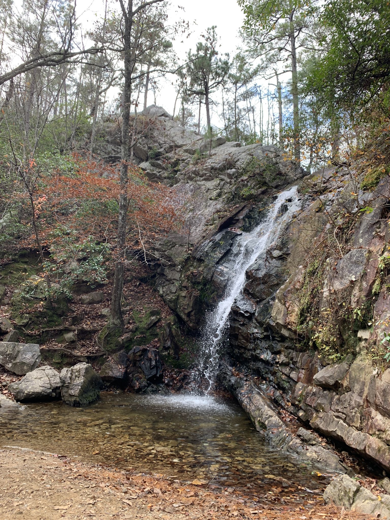 A narrow waterfall flows over a rocky cliff into a shallow pool. - Peavine Falls Short Loop