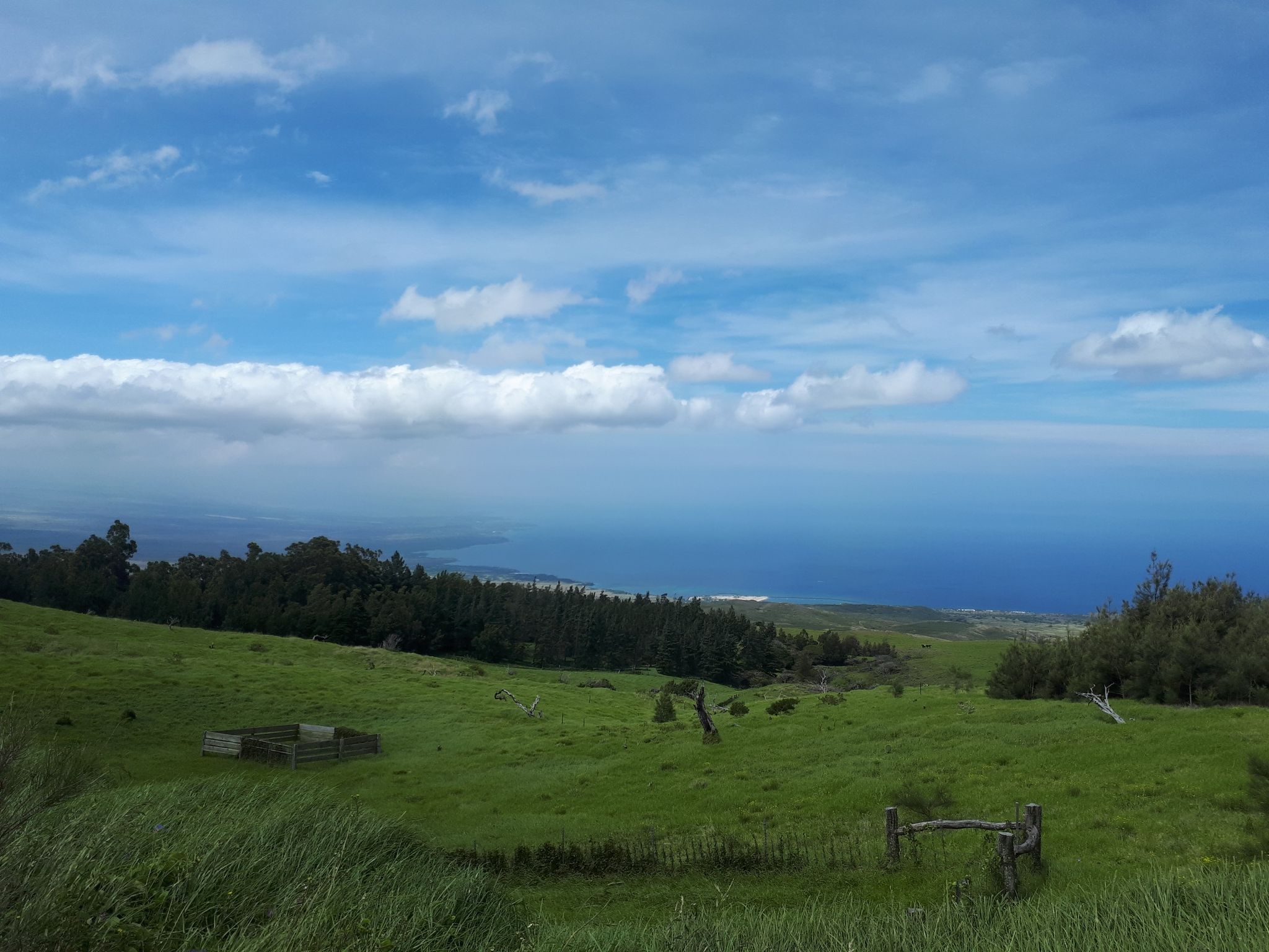 Vast green hills overlook a blue ocean under a bright, cloudy sky. - Kohala Mountain Road to Kahua Ranch