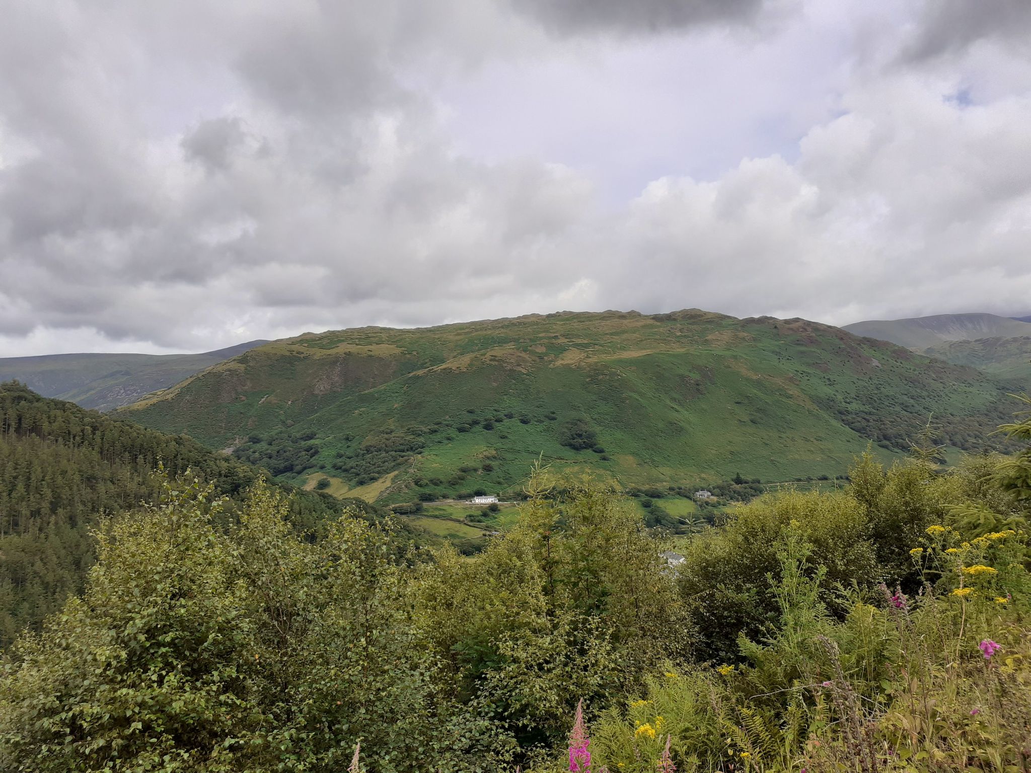 Foel Cae'rberllan