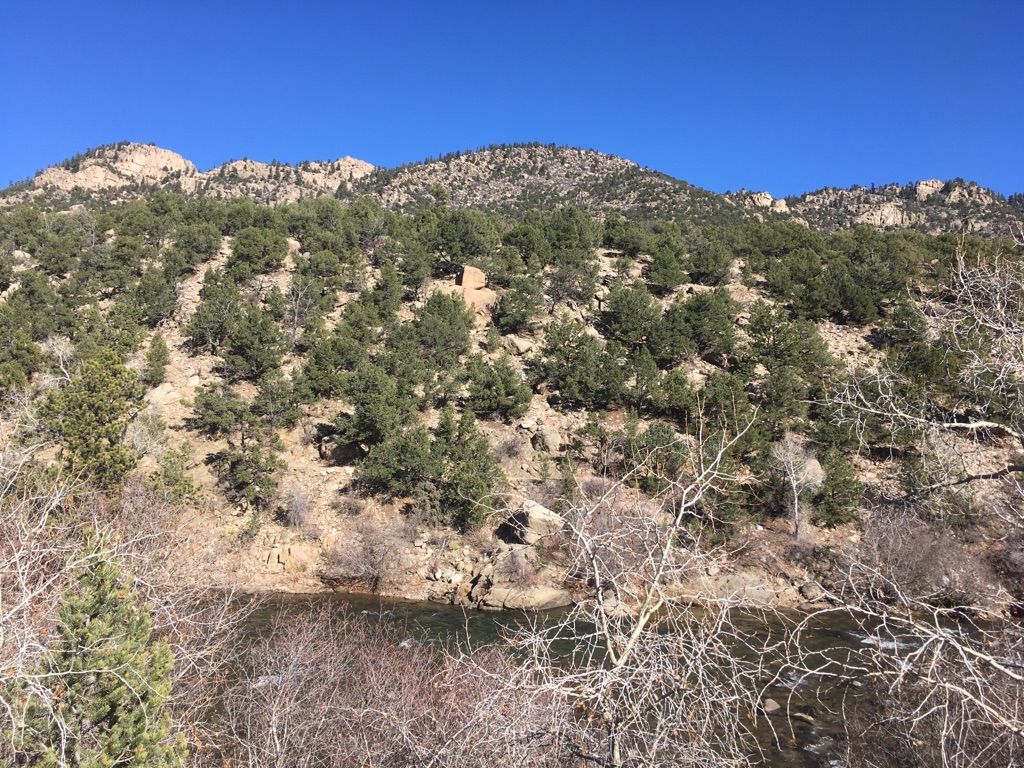 Sunny river flowing past a steep, pine-forested mountain under blue sky. - Arkansas River Trail