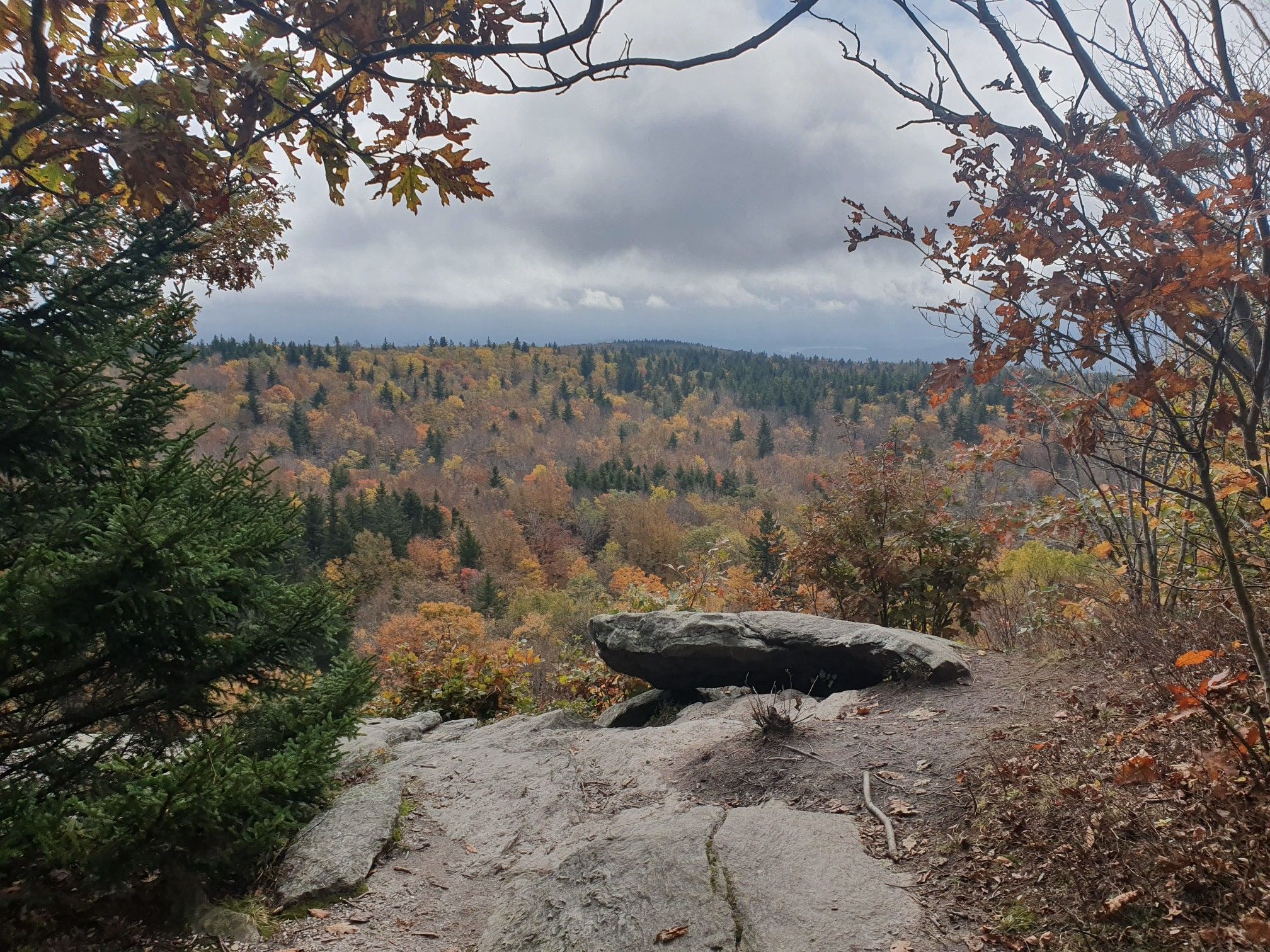 Scenic View