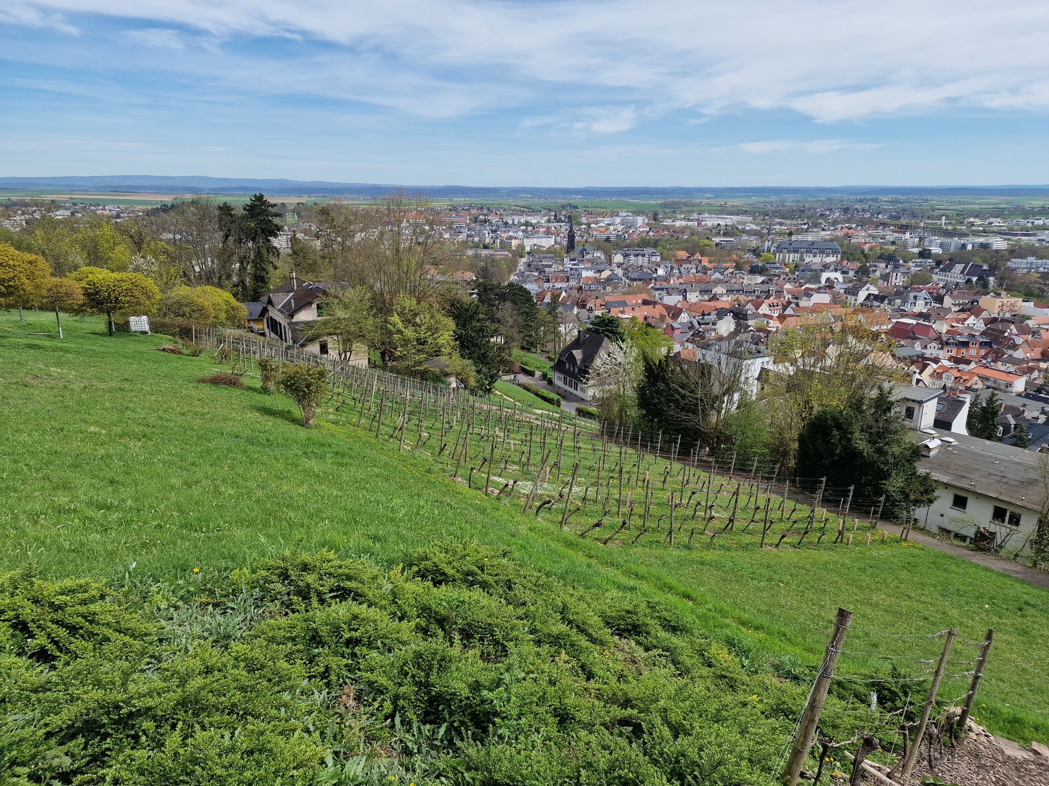 Blick auf Bad Nauheim und die Parkstraße