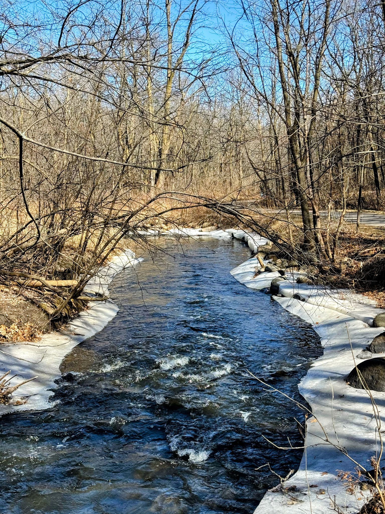 Nine Mile Creek