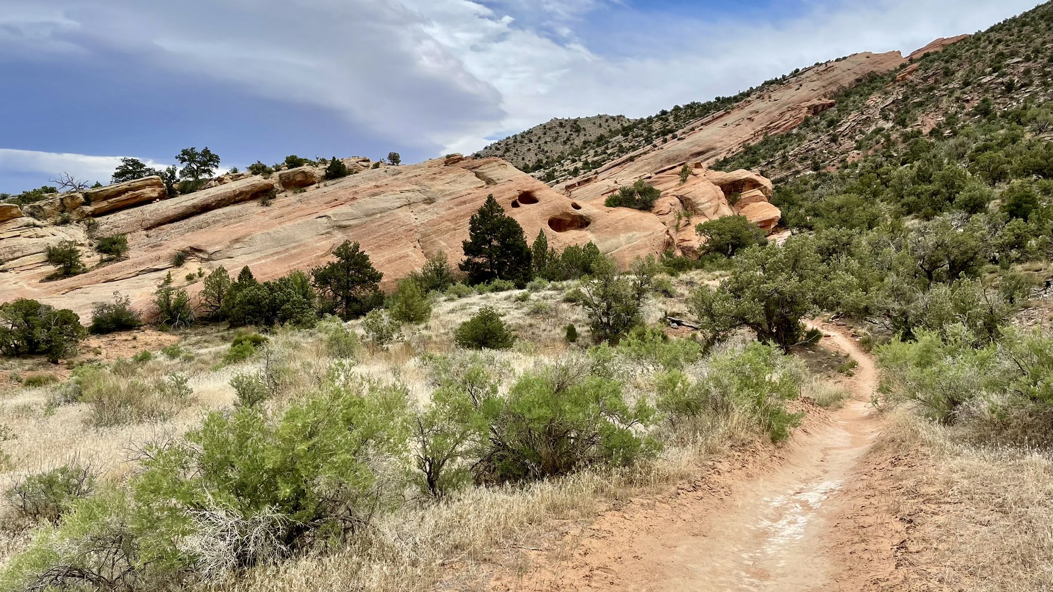 A dirt path winds through dry grass and red rock formations under a cloudy sky. - Monument and Wedding Canyon Loop