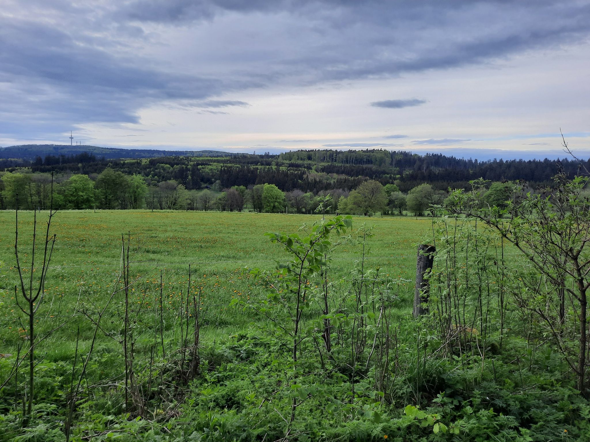 Vogelsberg