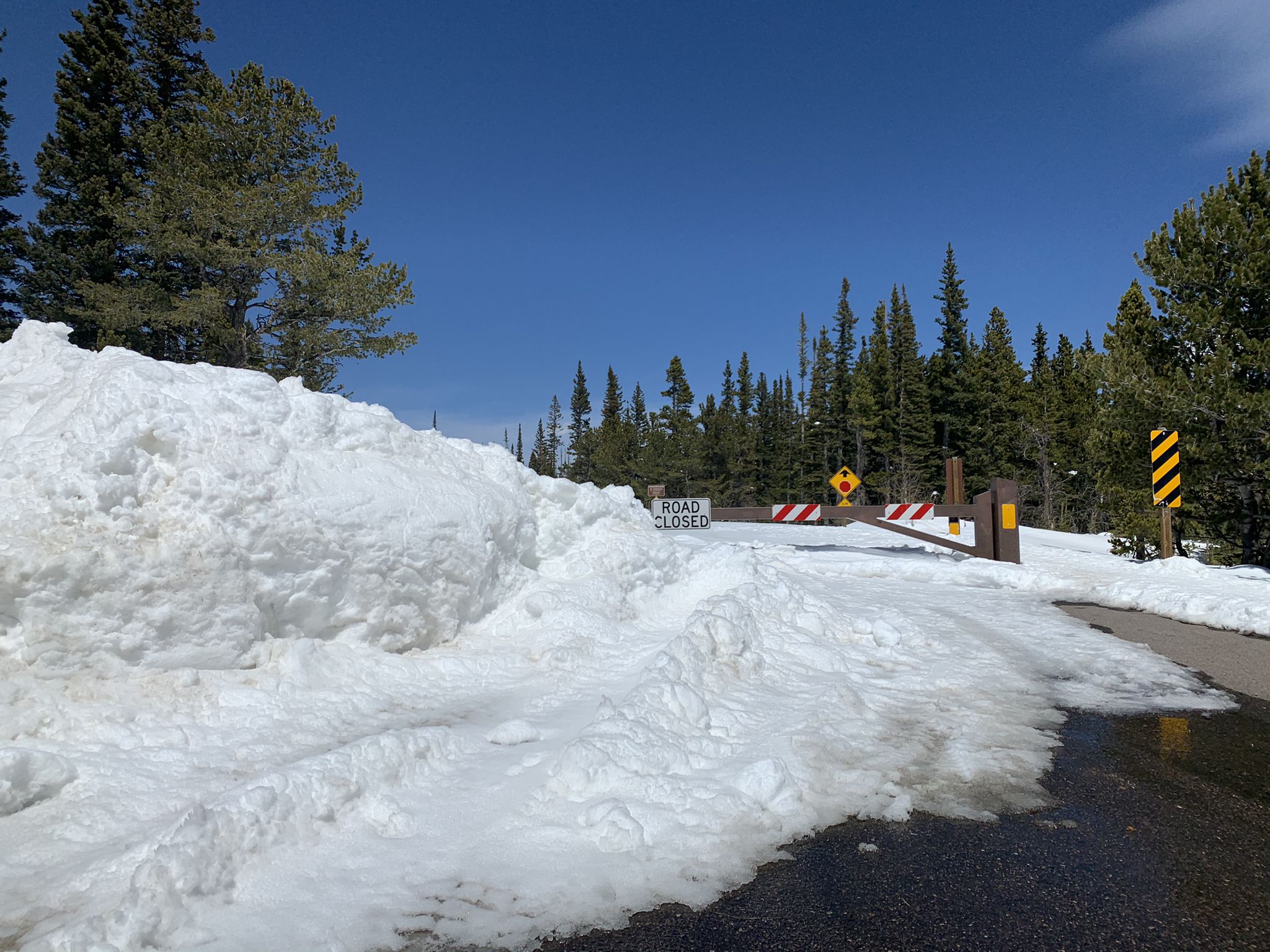 A road closed barrier and large snow piles block a sunny mountain road. - Wapiti and Sourdough Trail Loop