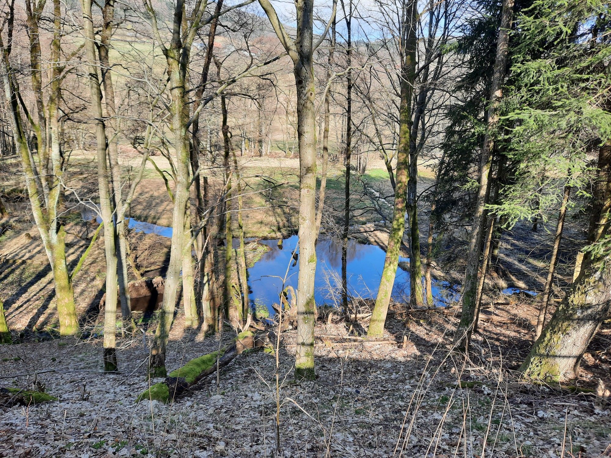 Biber-Gebiet