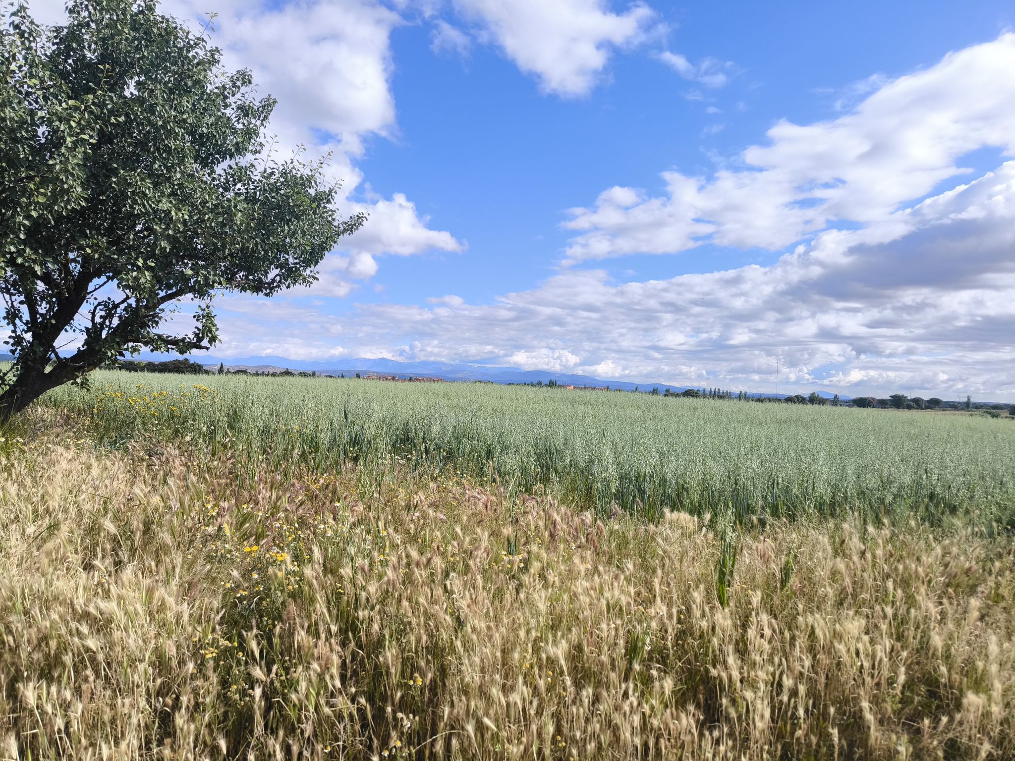 Las Vistas de La Sierra de Madrid desde Villanueva de La Cañada