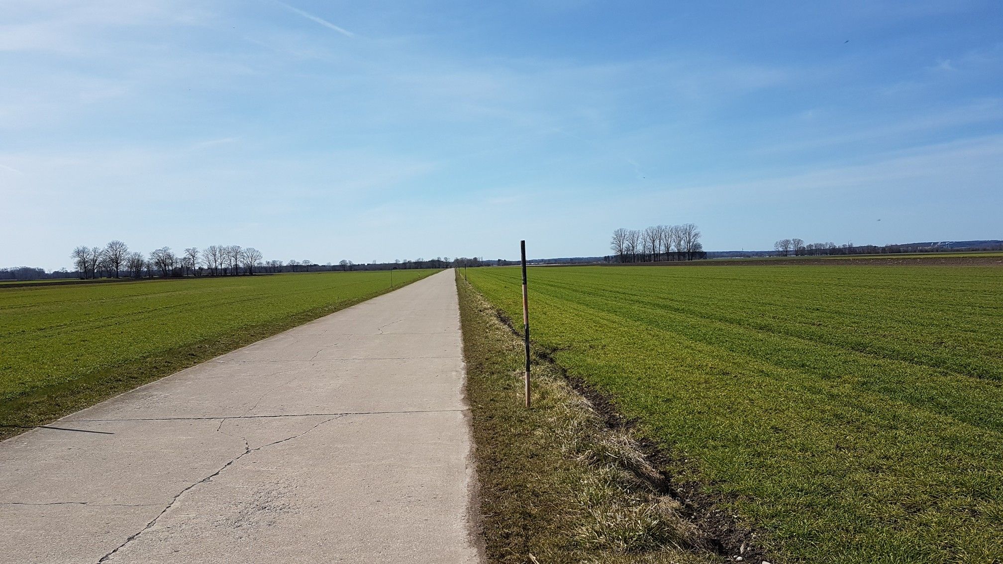 asphaltierter Wirtschaftsweg 
