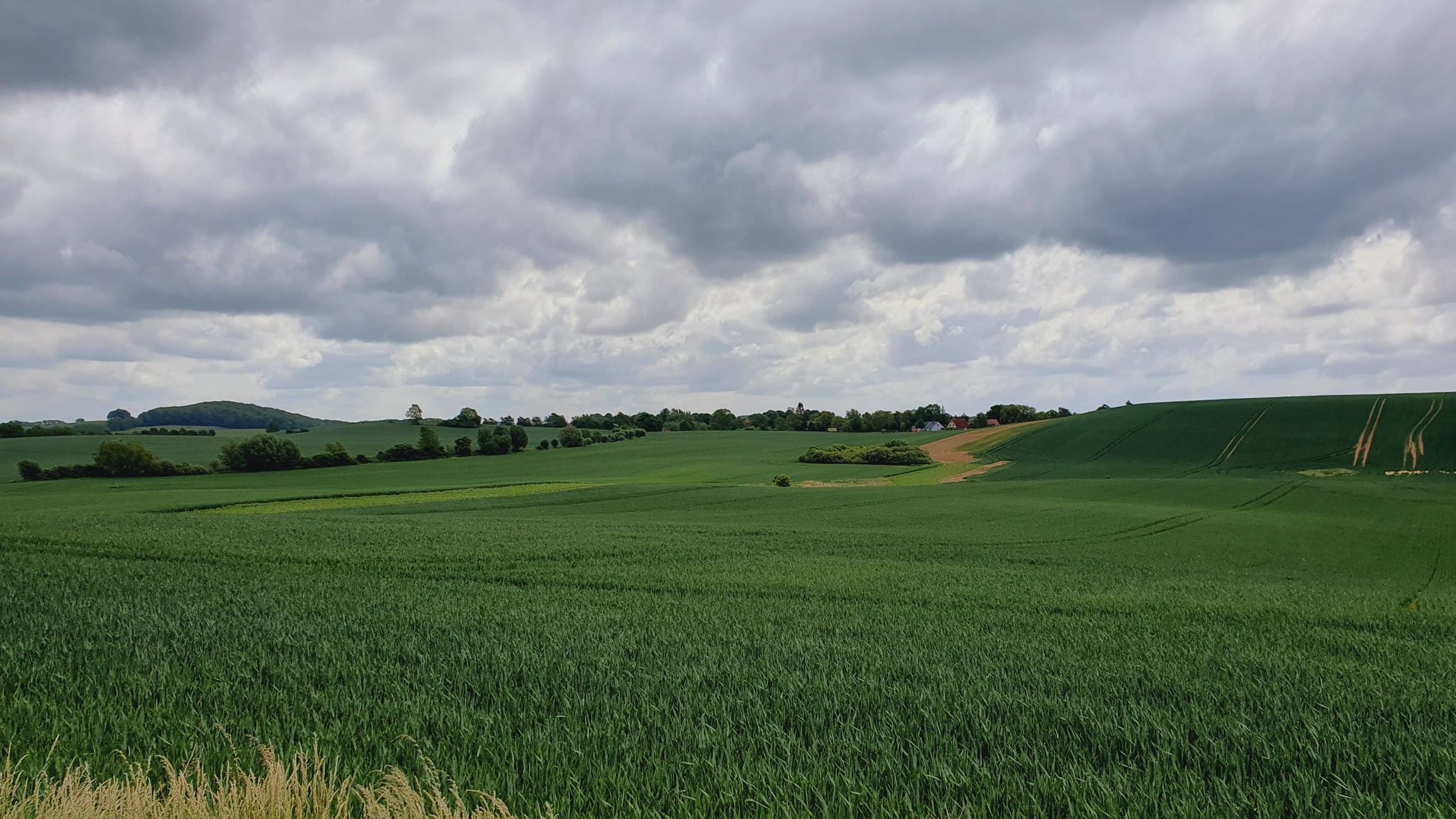 Diese friedliche Landschaft begeistert mich 😊