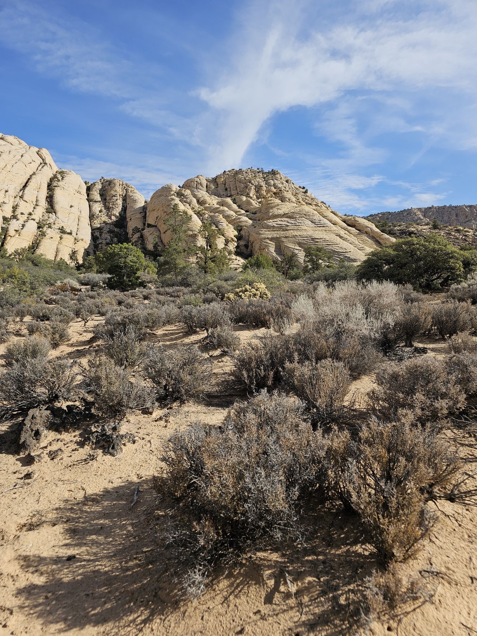 Desert landscape with light-colored rocky mountains, scrub brush, and a blue sky. - Whiterocks Trail