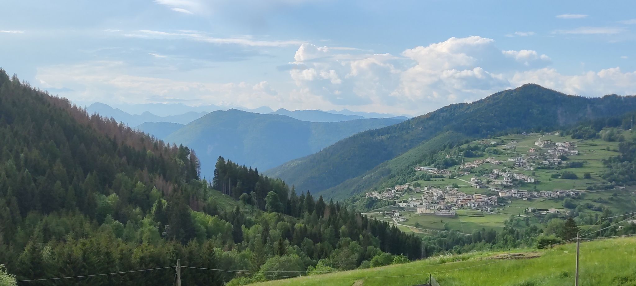 Pitoi