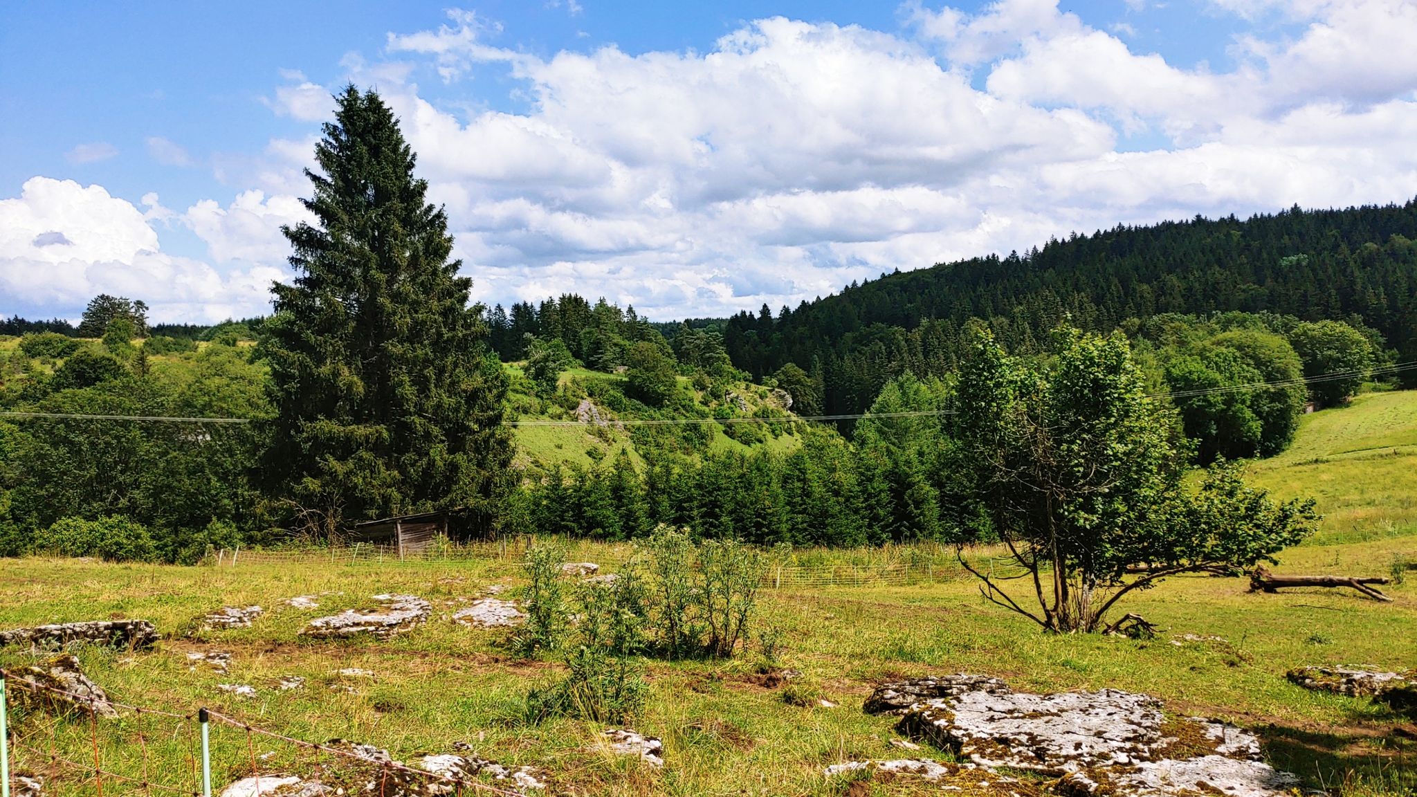 Blick ins Schäfertal 🐏🐑