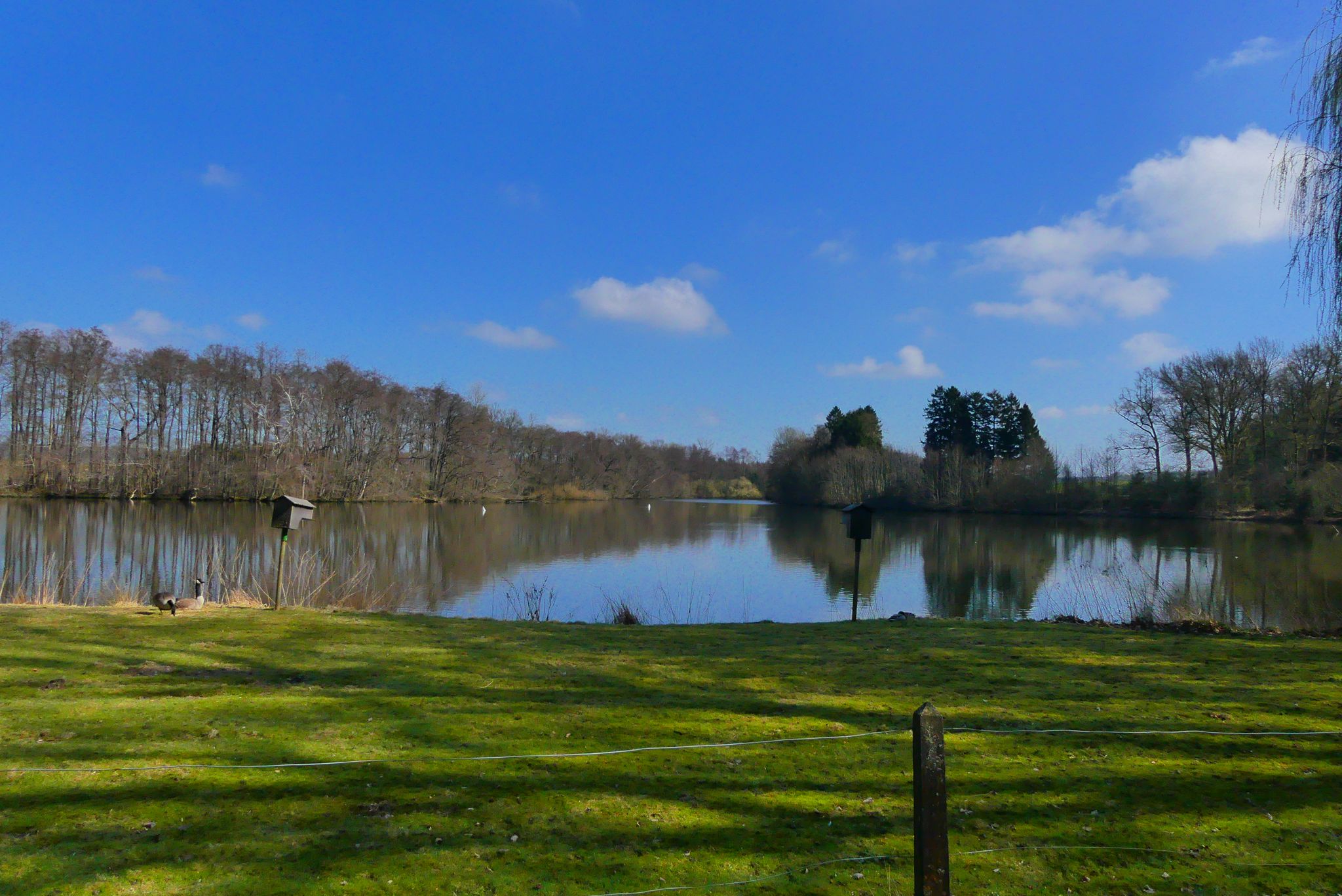 Mühlenteich Gut Springhoe