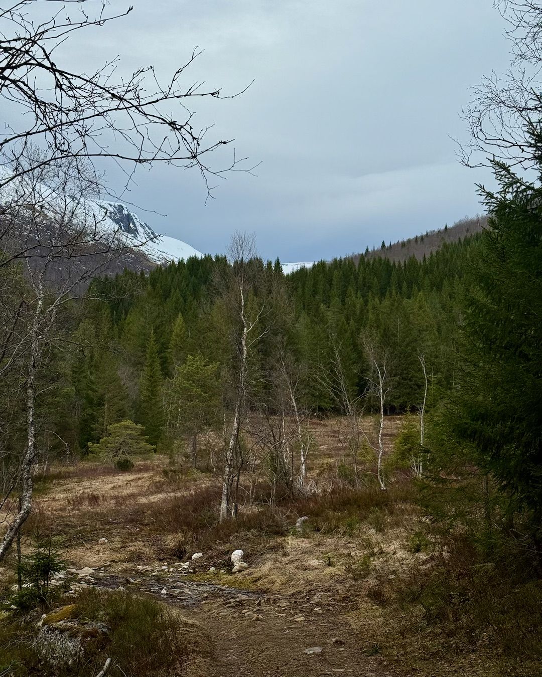 Moorlandschaft