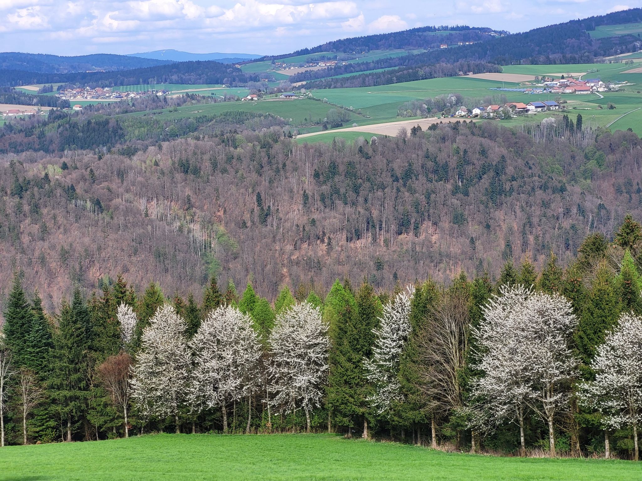 Bayern