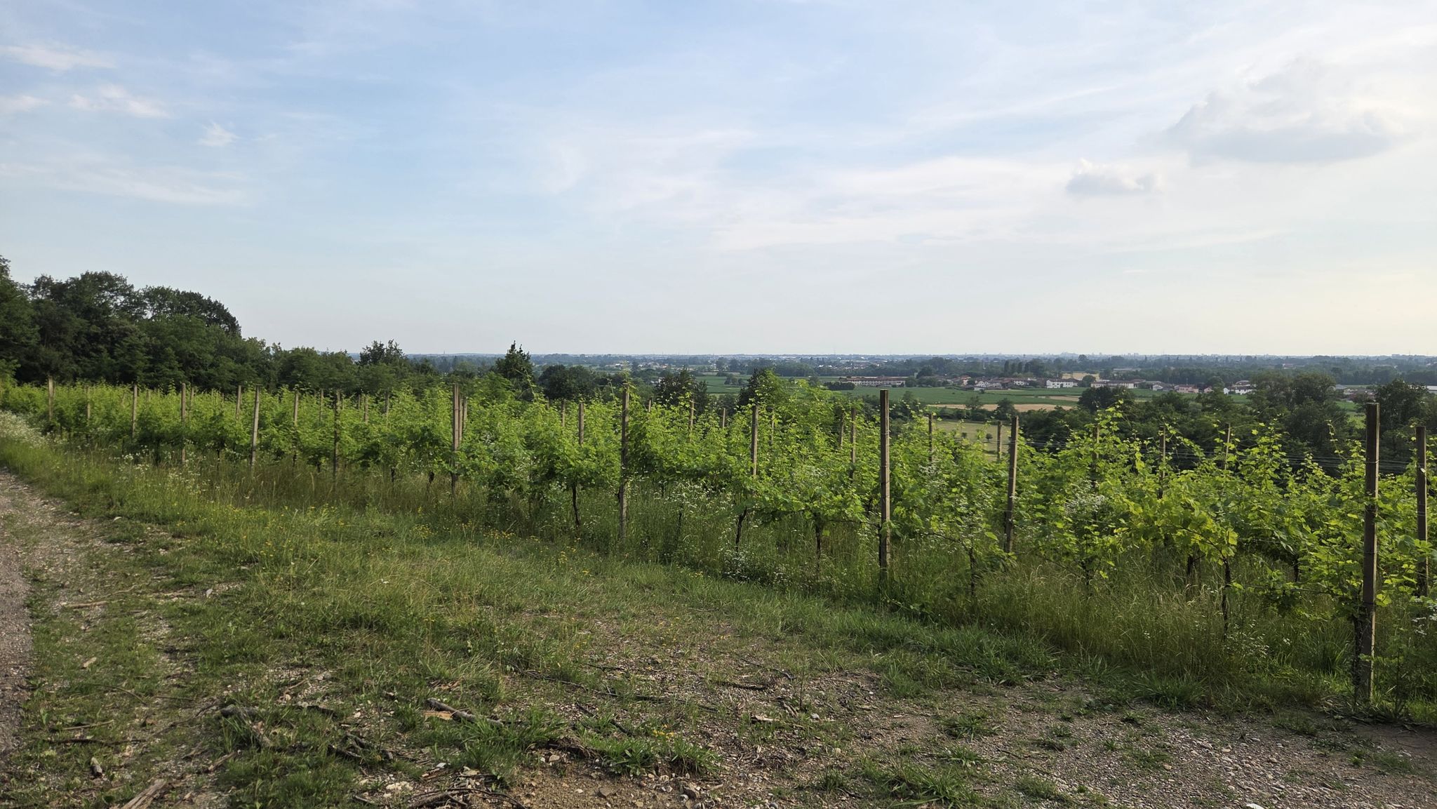 panorama su bellazoia