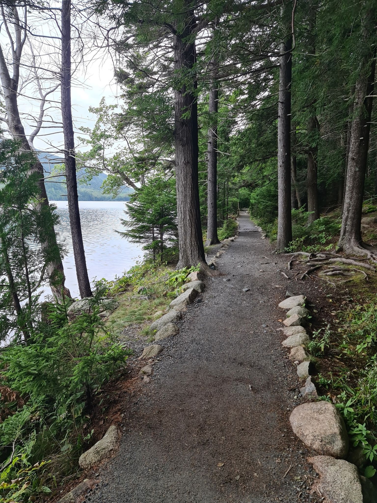 Gravel path winds along a calm lake, surrounded by dense forest under soft light. - Pemetic Mountain Loop