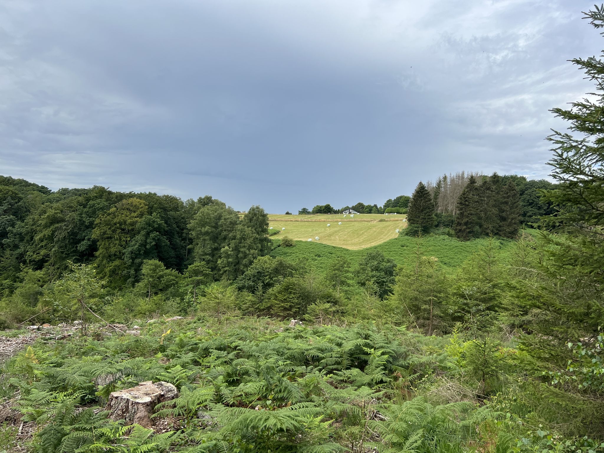 Malsberger Siefen