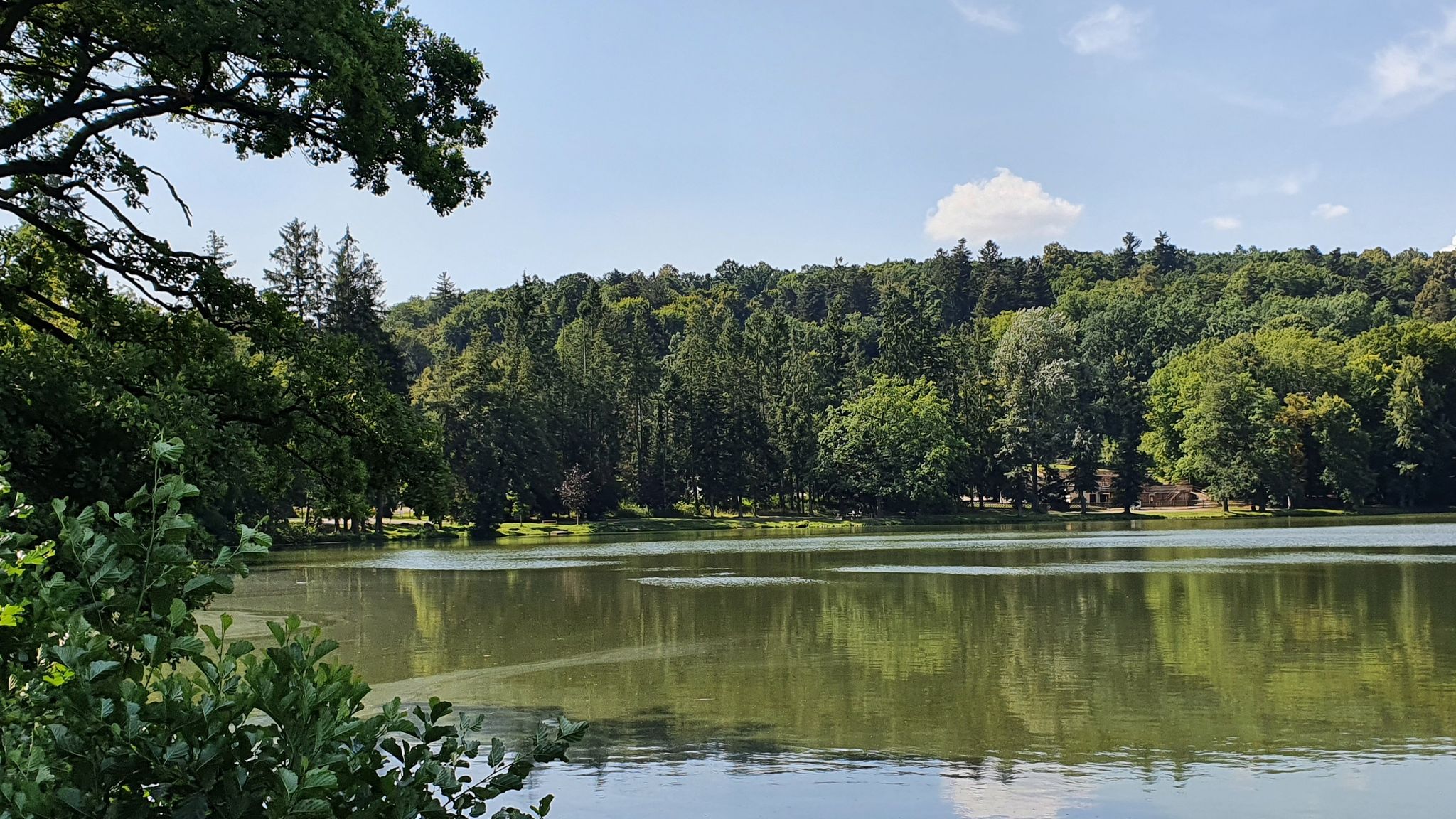 Près du château de Konopiste