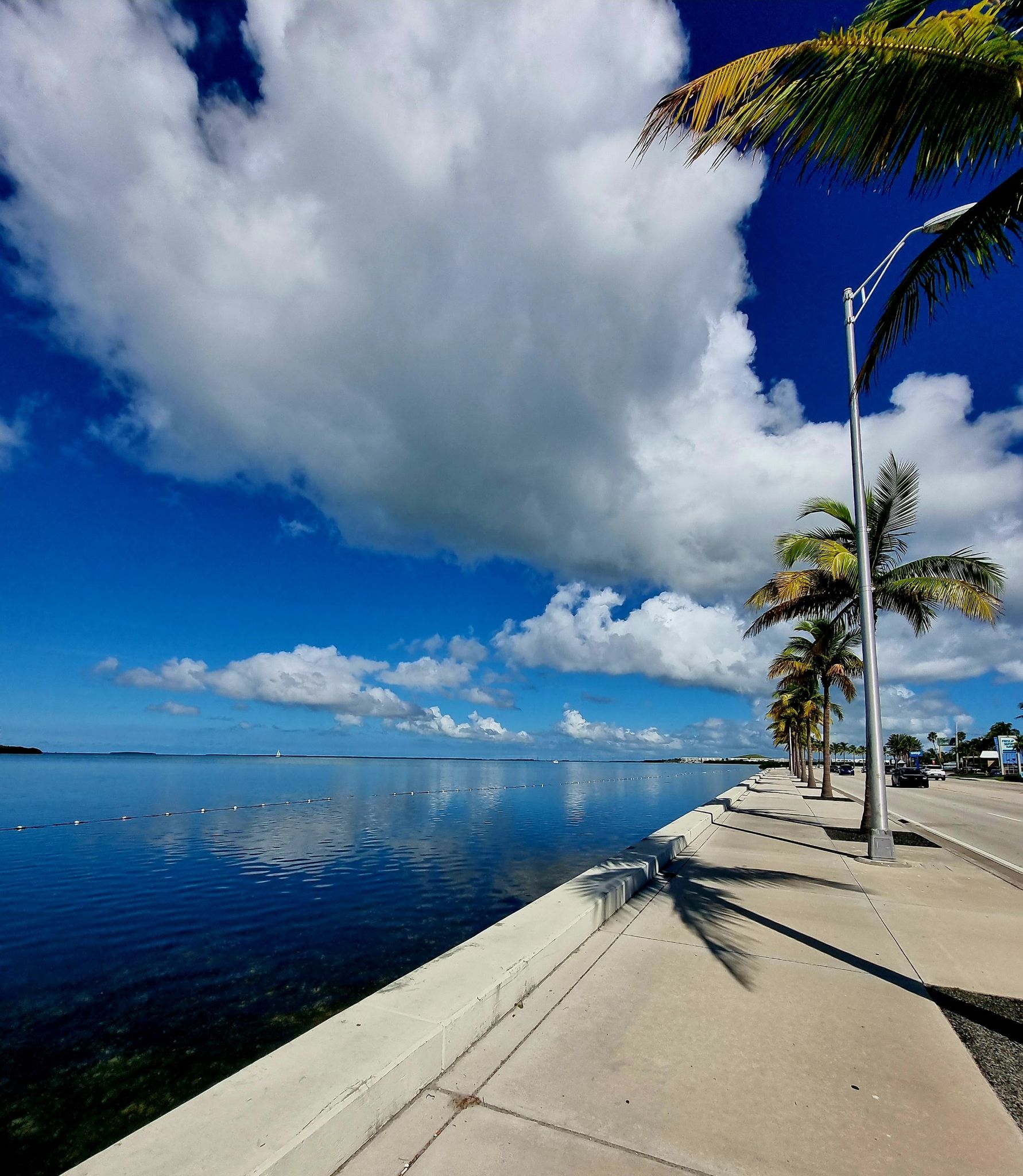 Sunny day, concrete walkway beside calm ocean, palm trees, blue sky. - Florida Keys Overseas Heritage Trail