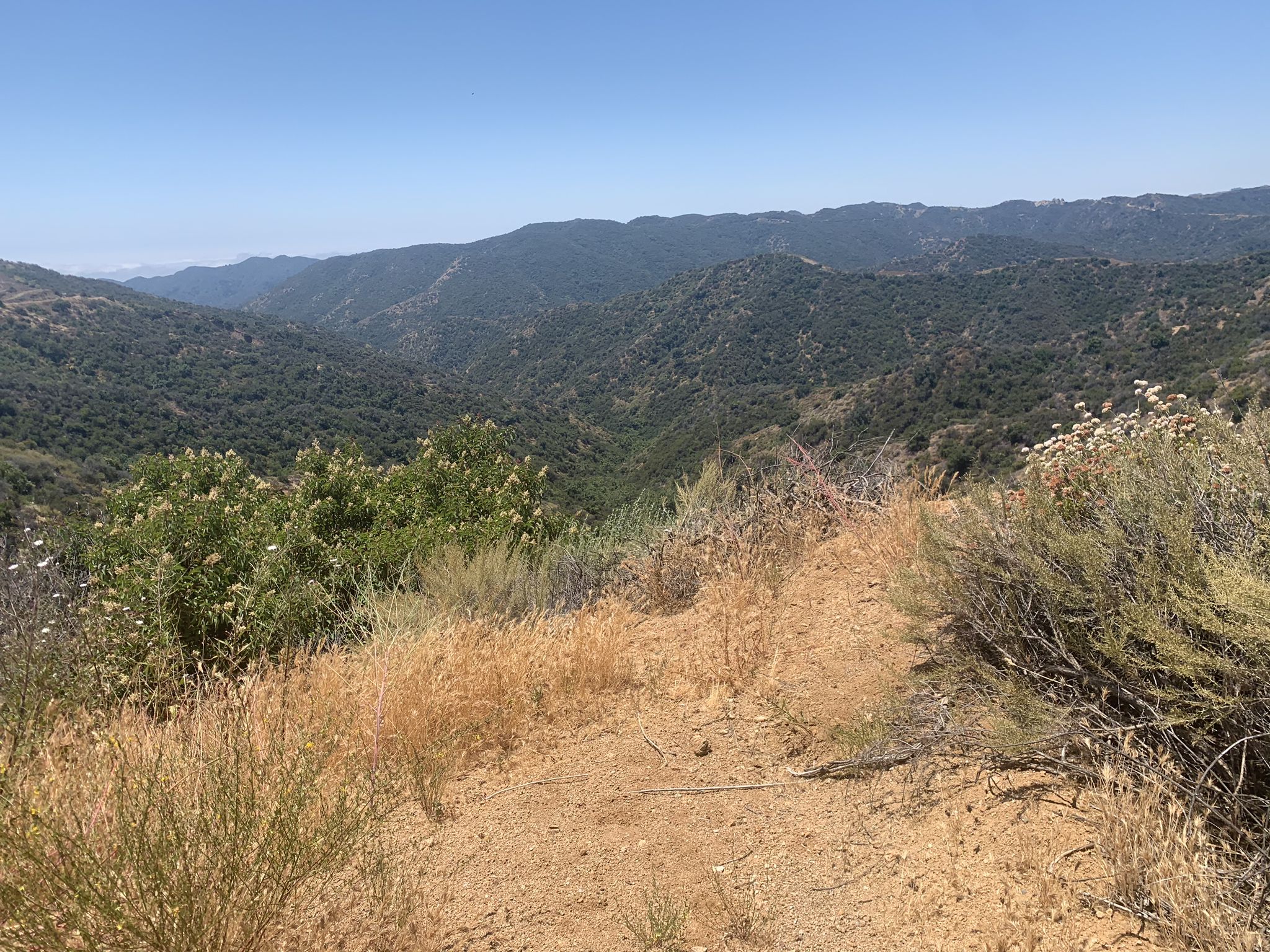 Dry dirt path overlooking rolling green hills and valleys on a sunny day. - Mulholland Drive upper views – Dirt Mulholland loop from LA City Open Space