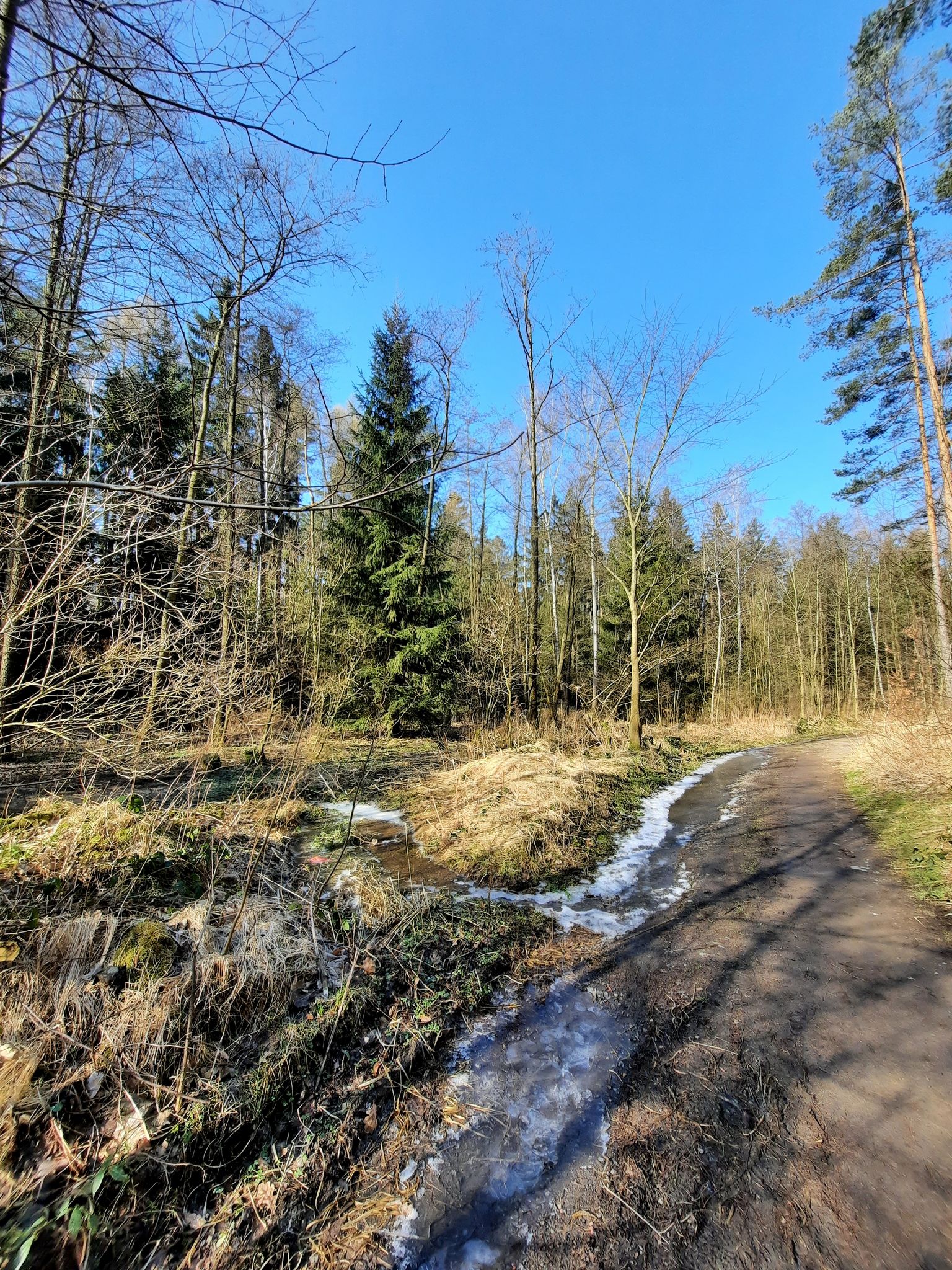 Vereiste Wege, aber nicht glatt, fester Tritt.