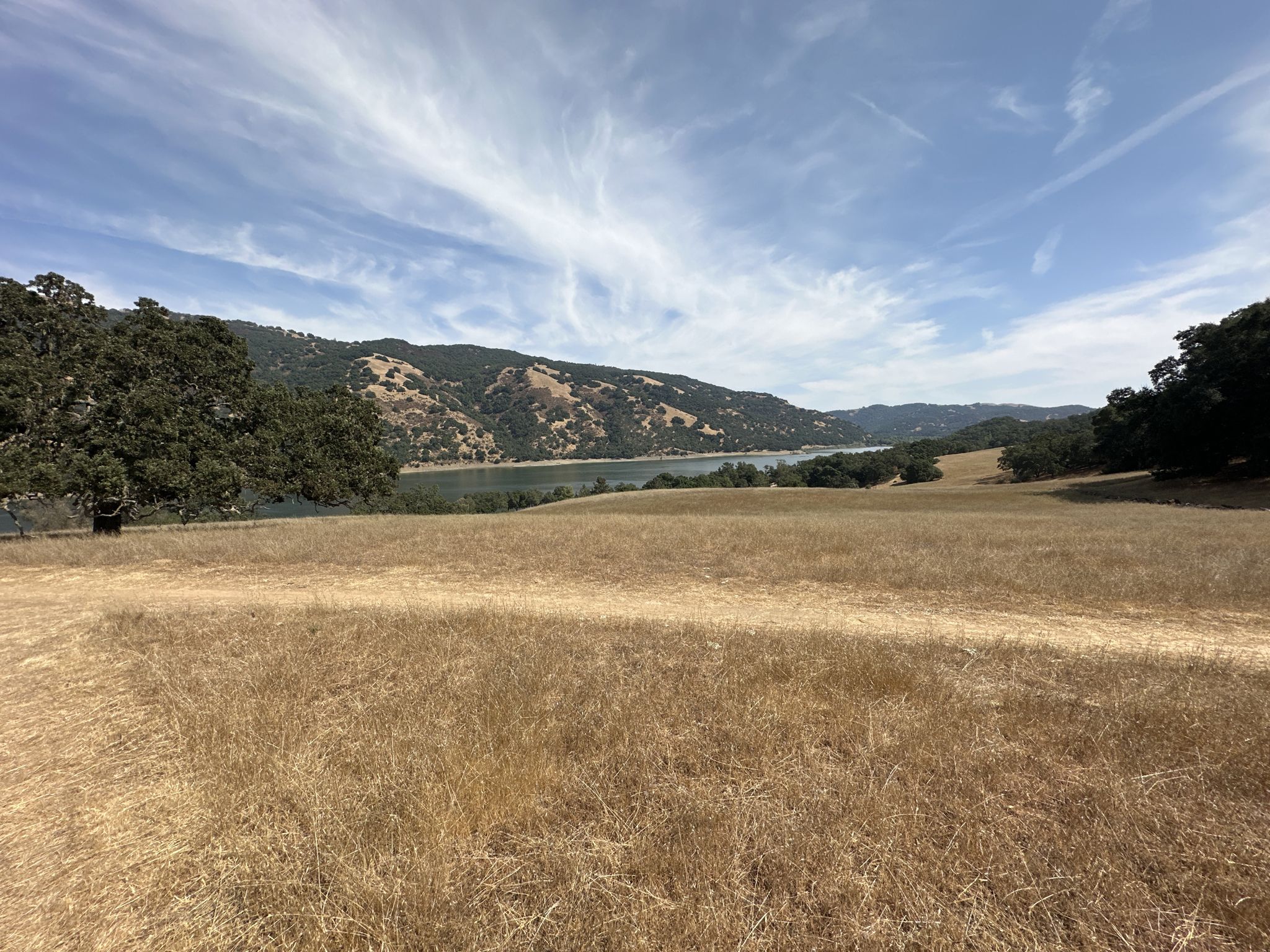 A wide field of golden grass with a lake and hills in the distance. - Coyote Lake