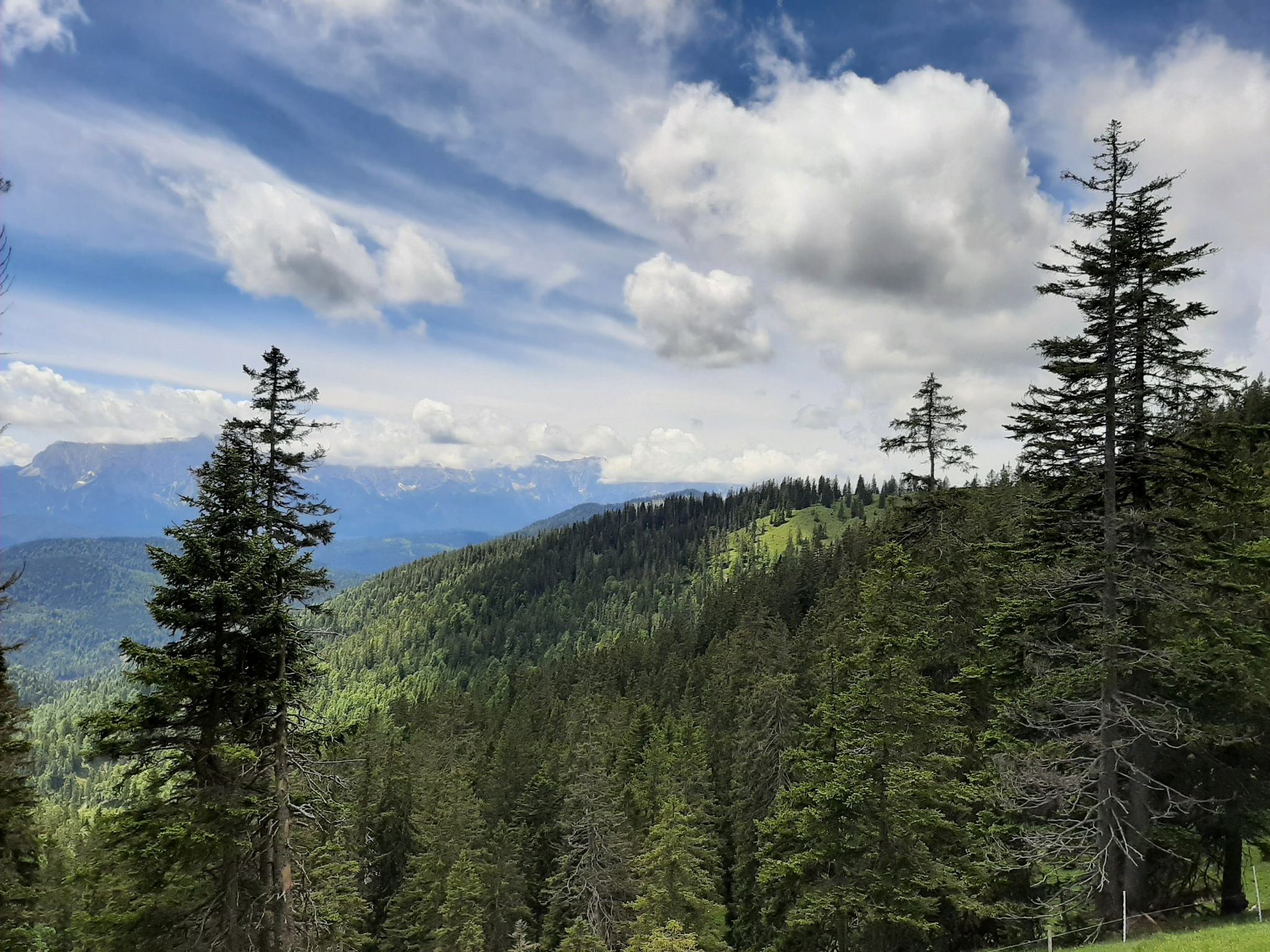 Blick auf Alpspitze und Zugspitze