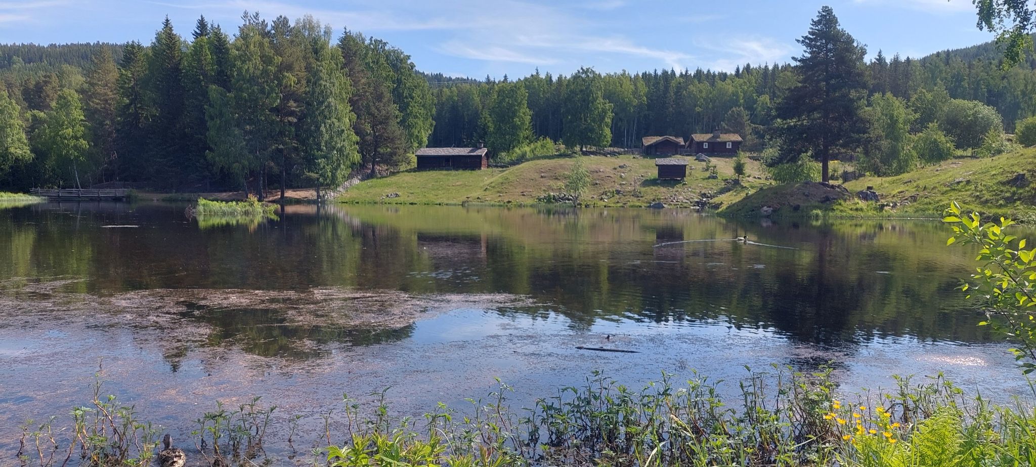 Idylle im Museum